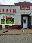 Цветочный (Krasnodar Territory, Severskiy rayon, Azovskoye selskoye poseleniye, stanitsa Azovskaya, Oktyabrskaya ulitsa), flower shop