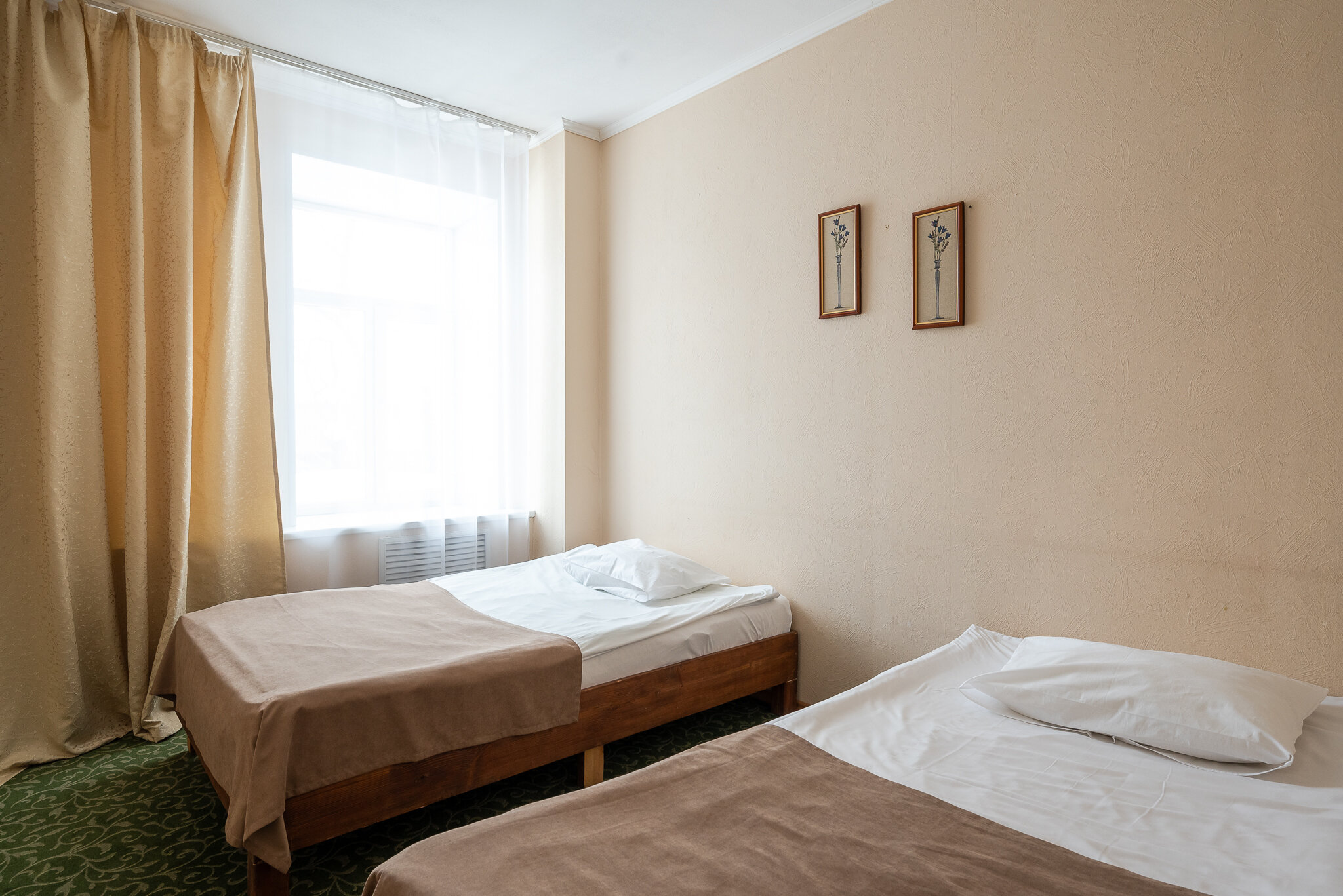 Фото Азалия