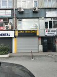 Ziya Translation (İstanbul, Fatih, Molla Gürani Mah., Erseven Sok., 1A), agencia de traducción