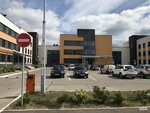 Umwelt (Yuzhnoye Highway, 161), it company