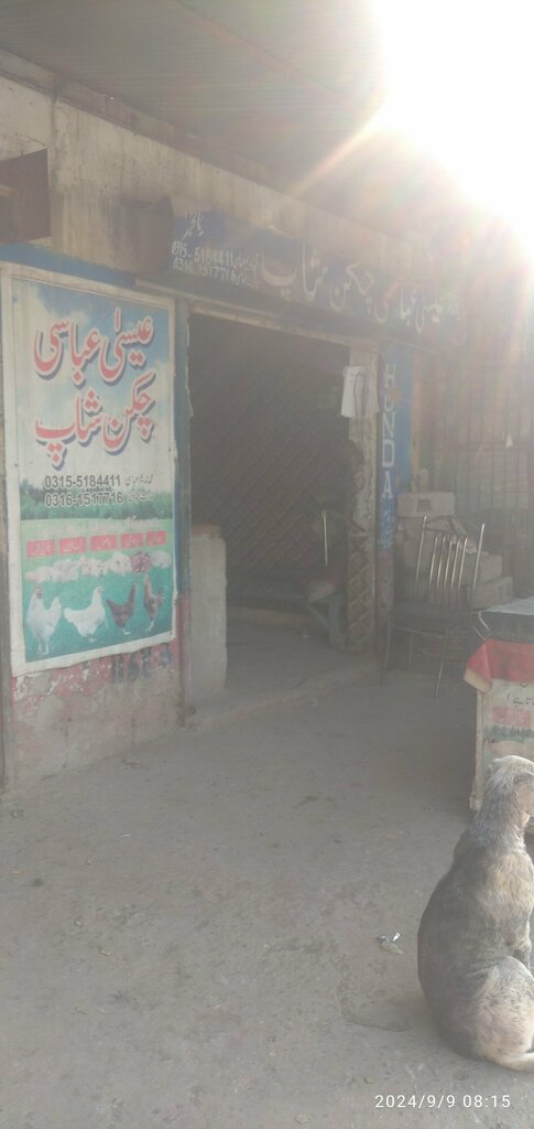 Egg and poultry meat Essa, Islamabad, photo