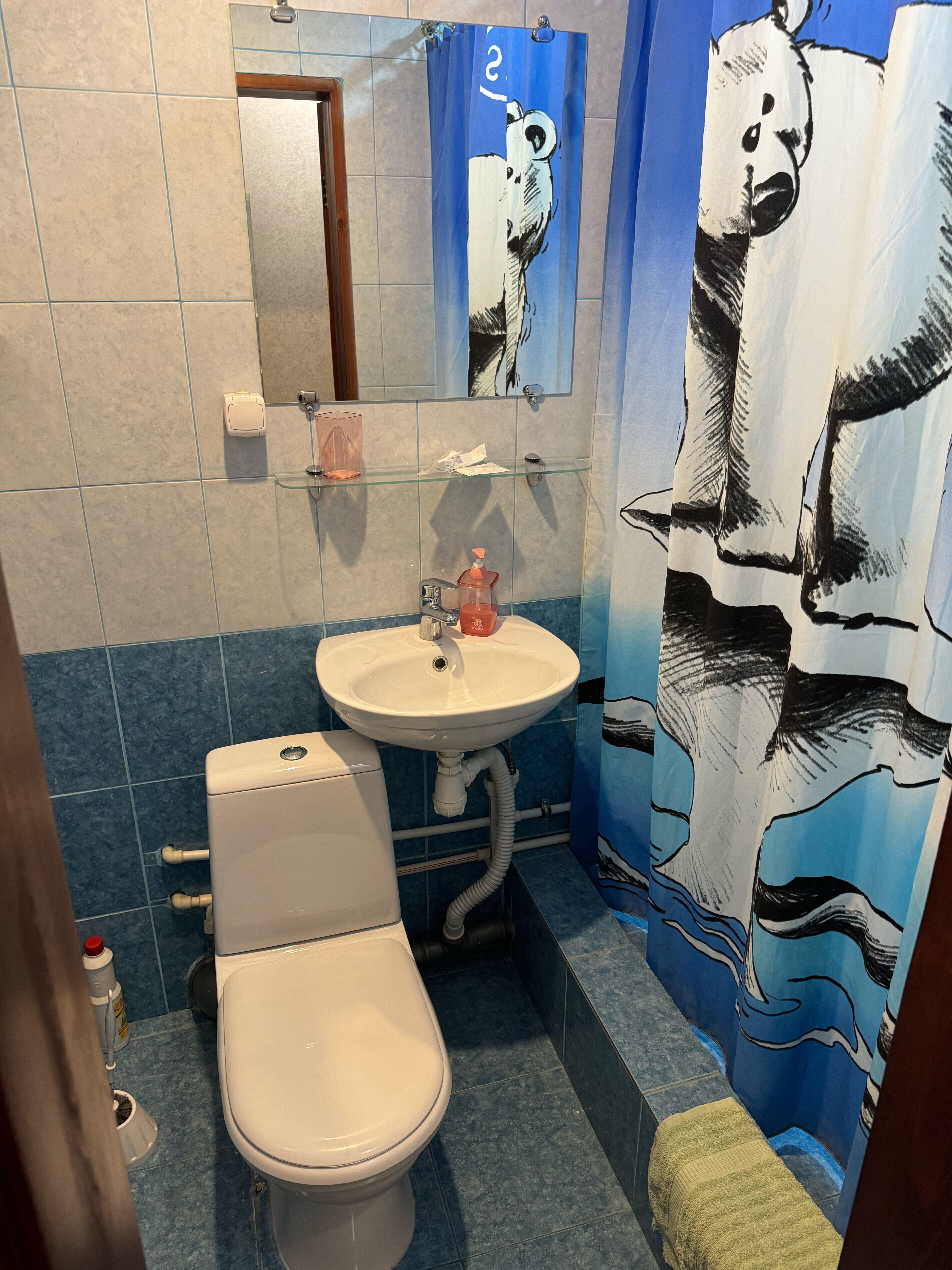 Фото Березка