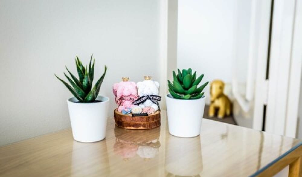 Фото Ocean Royale