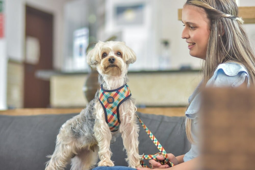 Фото Hotel Ilhas da Grécia