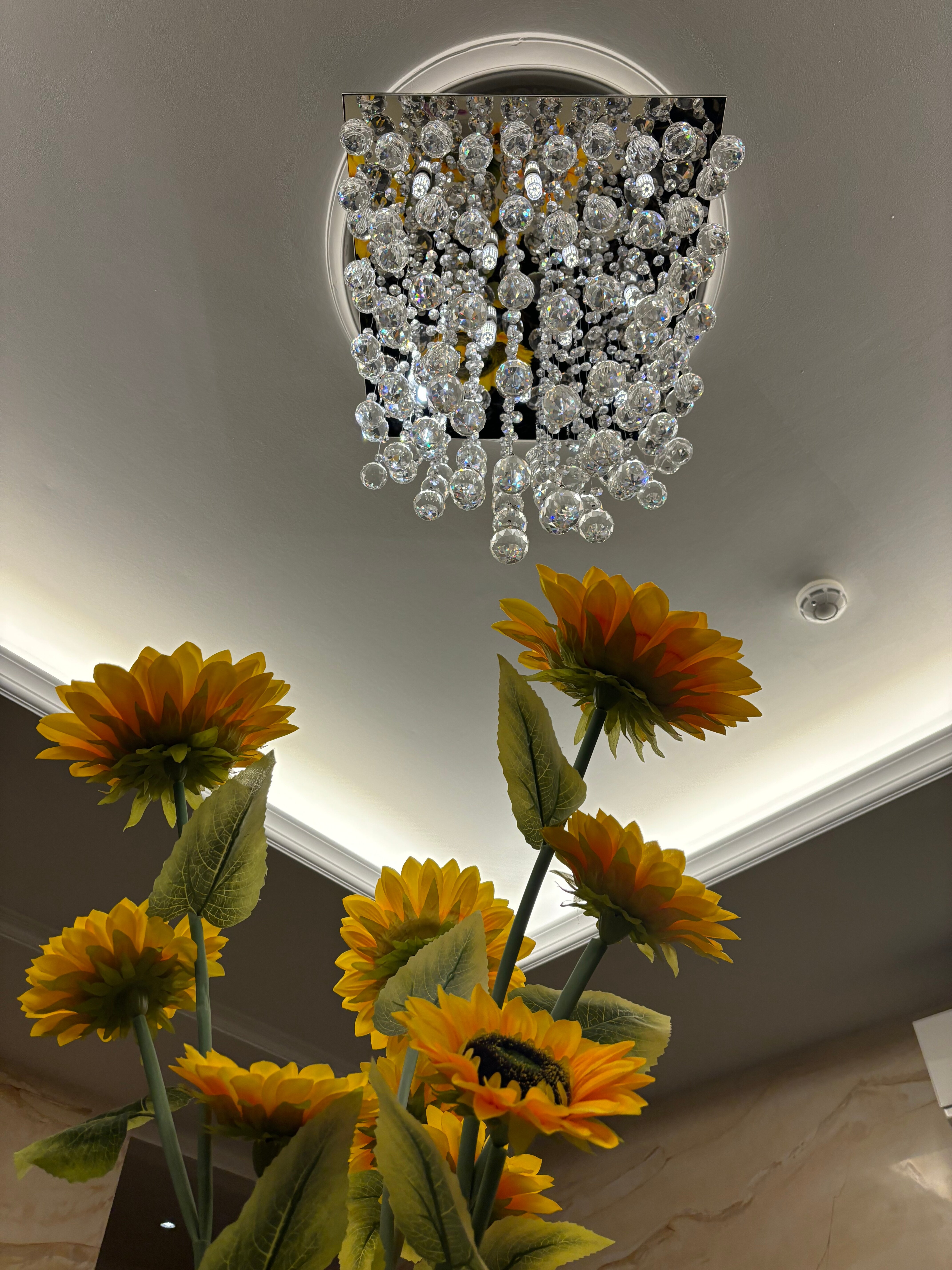 Фото Men'K Kings