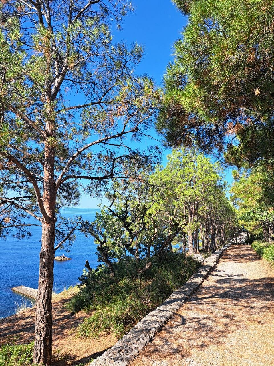 Фото Отдых в Кацивели