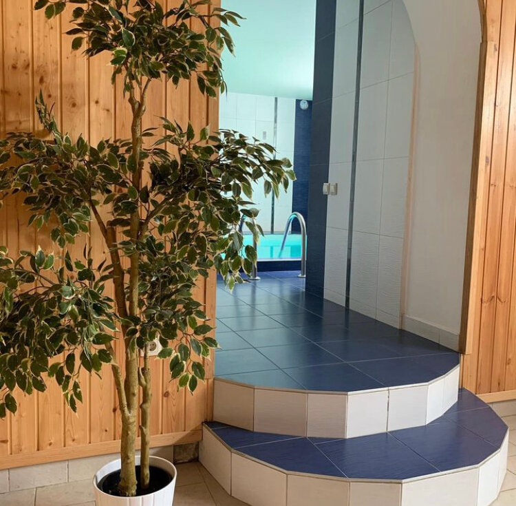 Фото Гармония