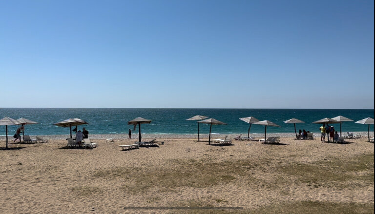 Фото Инжир Вилладж