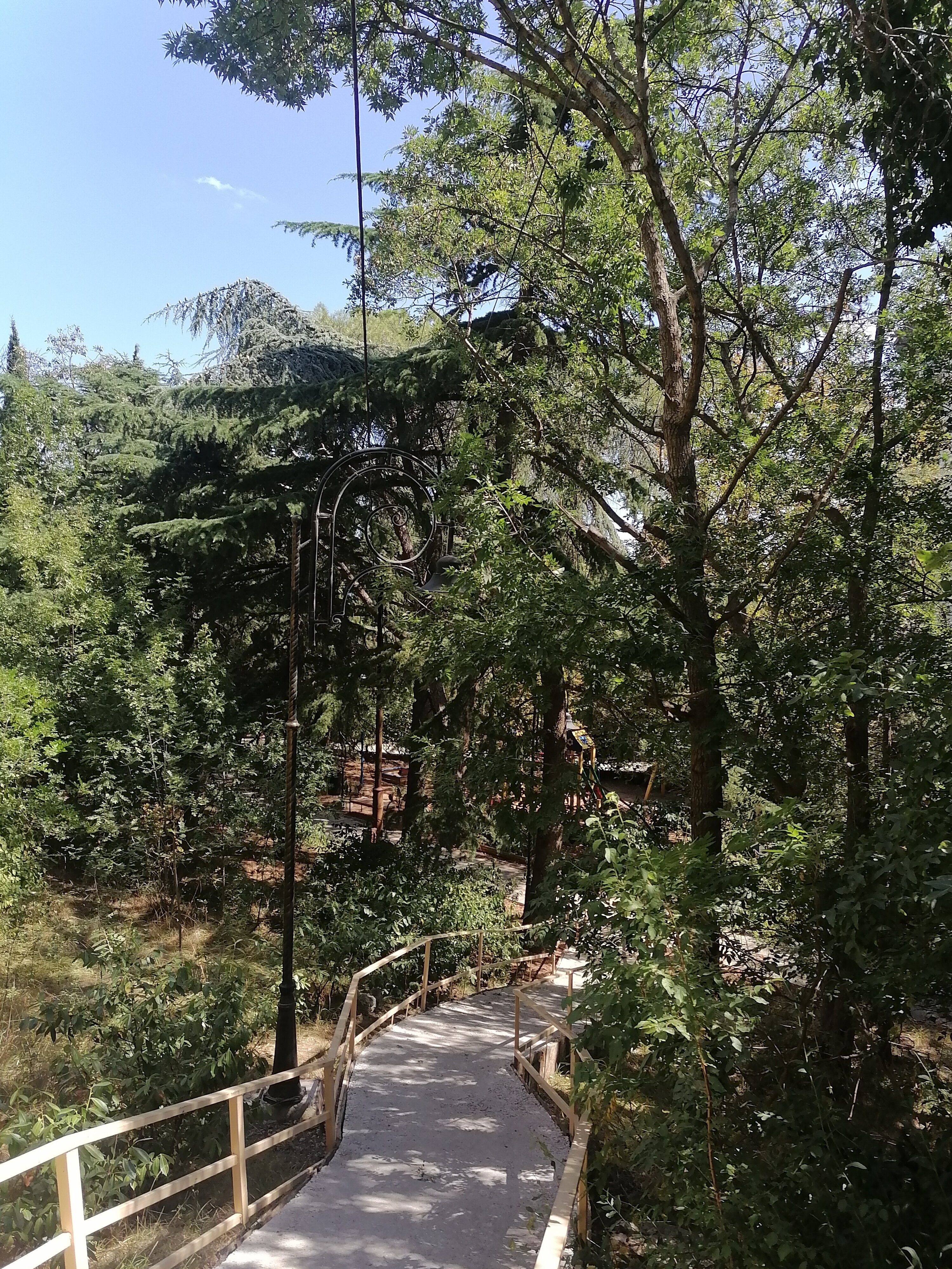 Фото Софи Голд