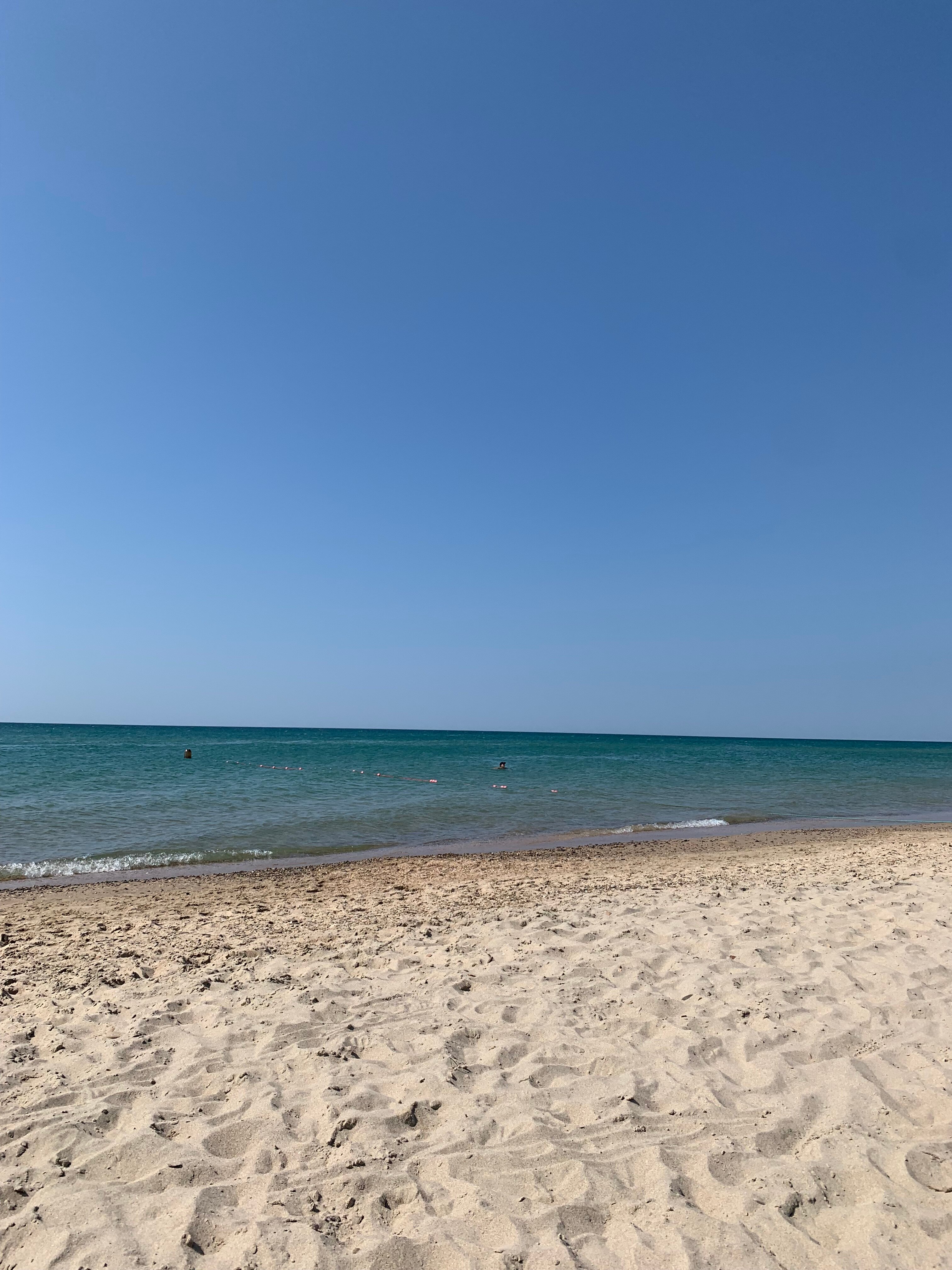 Фото Роза ветров