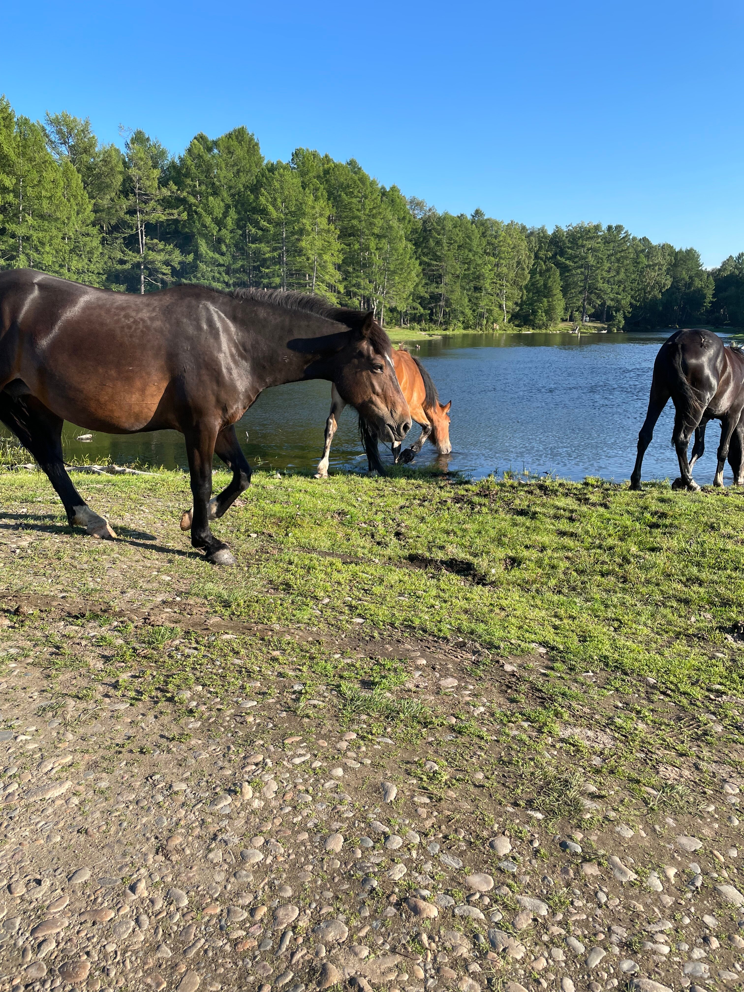 Фото Байкал Тэнгэри