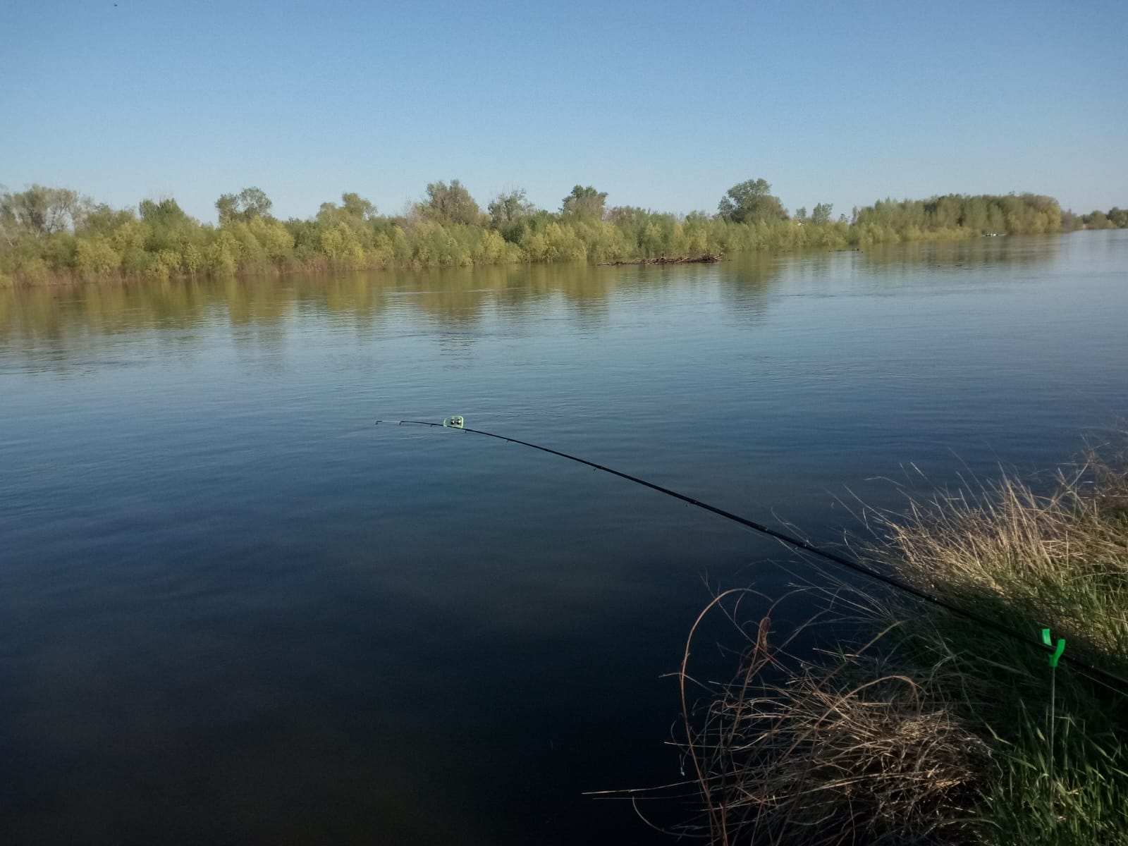 Фото Лунинские Просторы