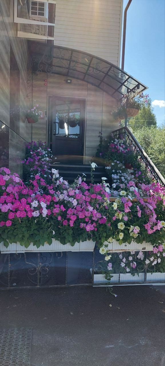 Фото Вилегодское Подворье