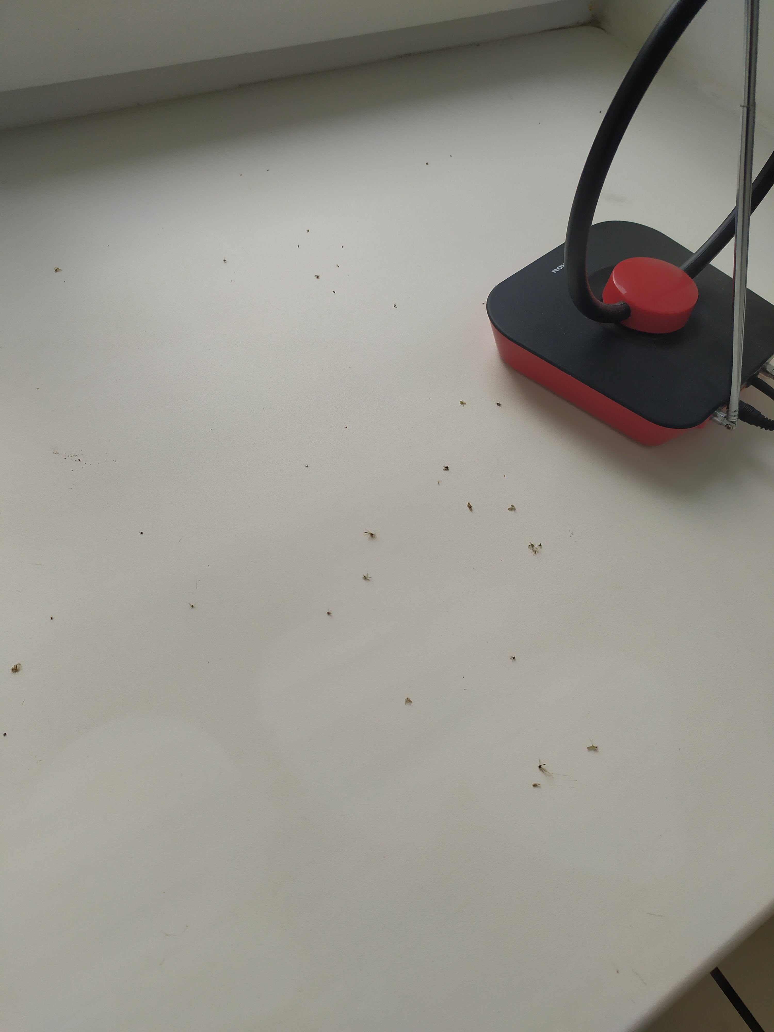 Фото Павловка