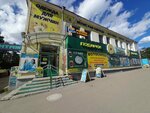 Авант (85-y kvartal, 17), relojería