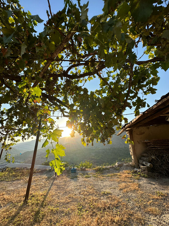 Фото МириДа