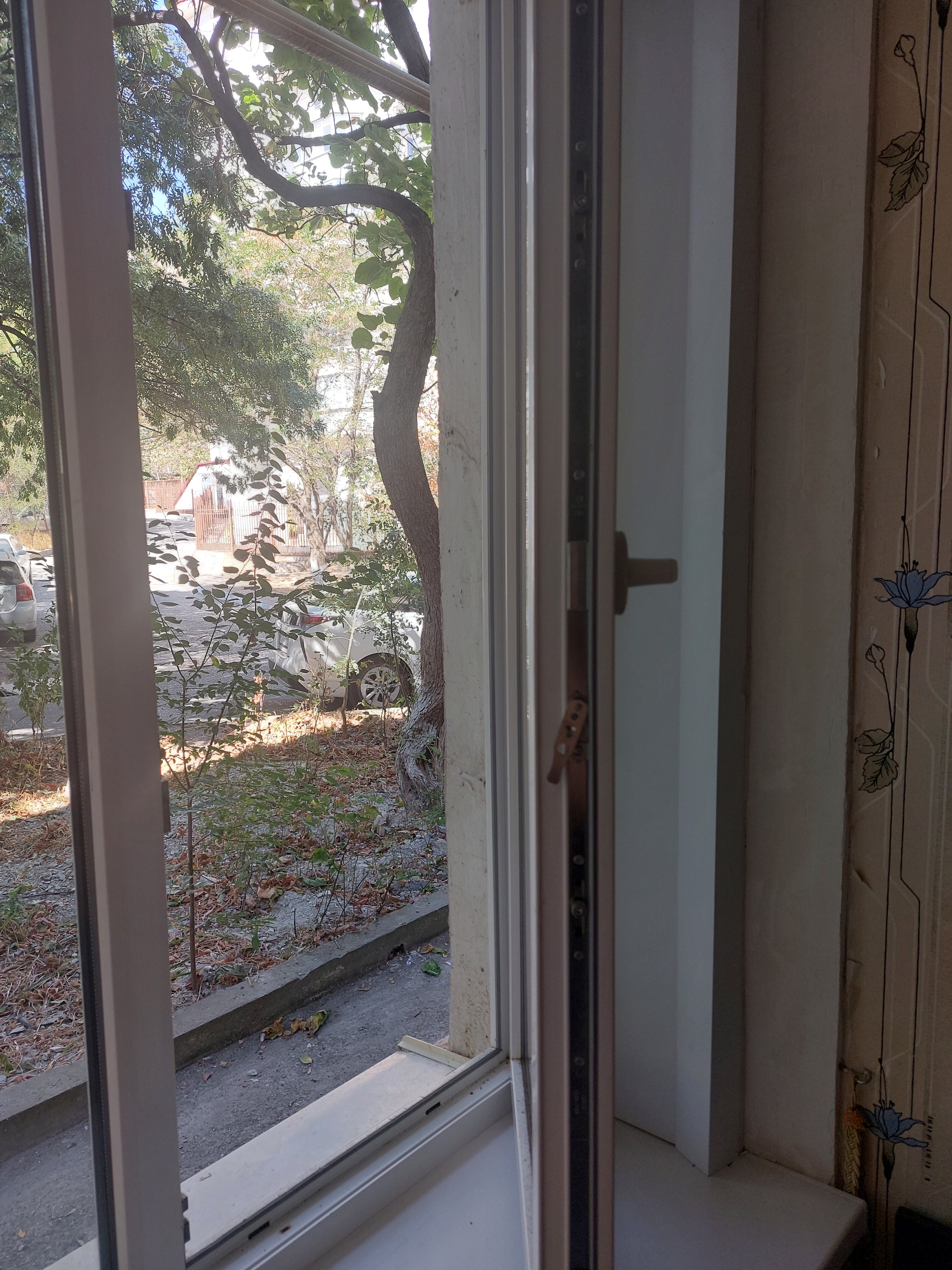 Фото Первая линия