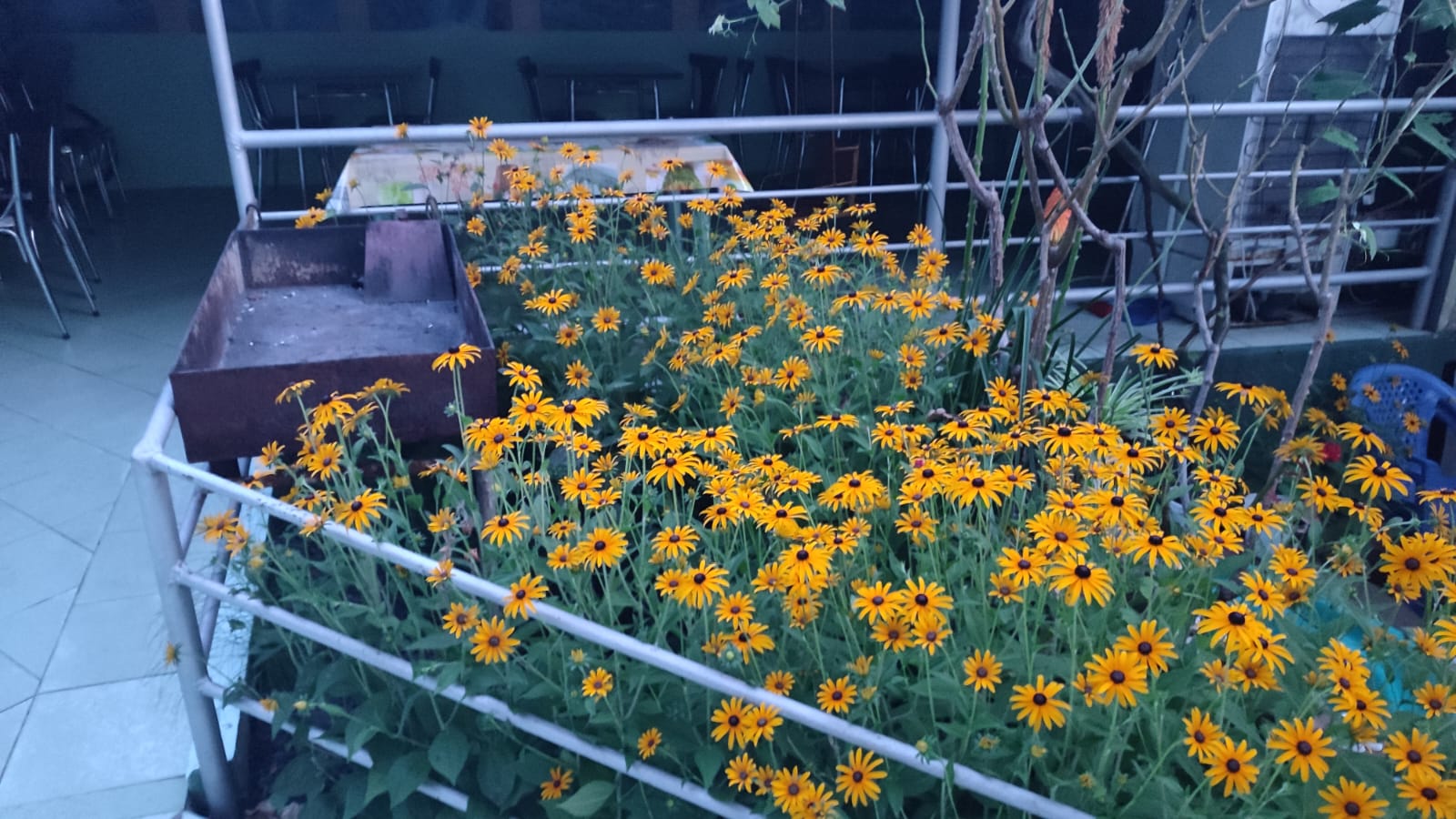 Фото Гостевой Дом Лазурный Берег