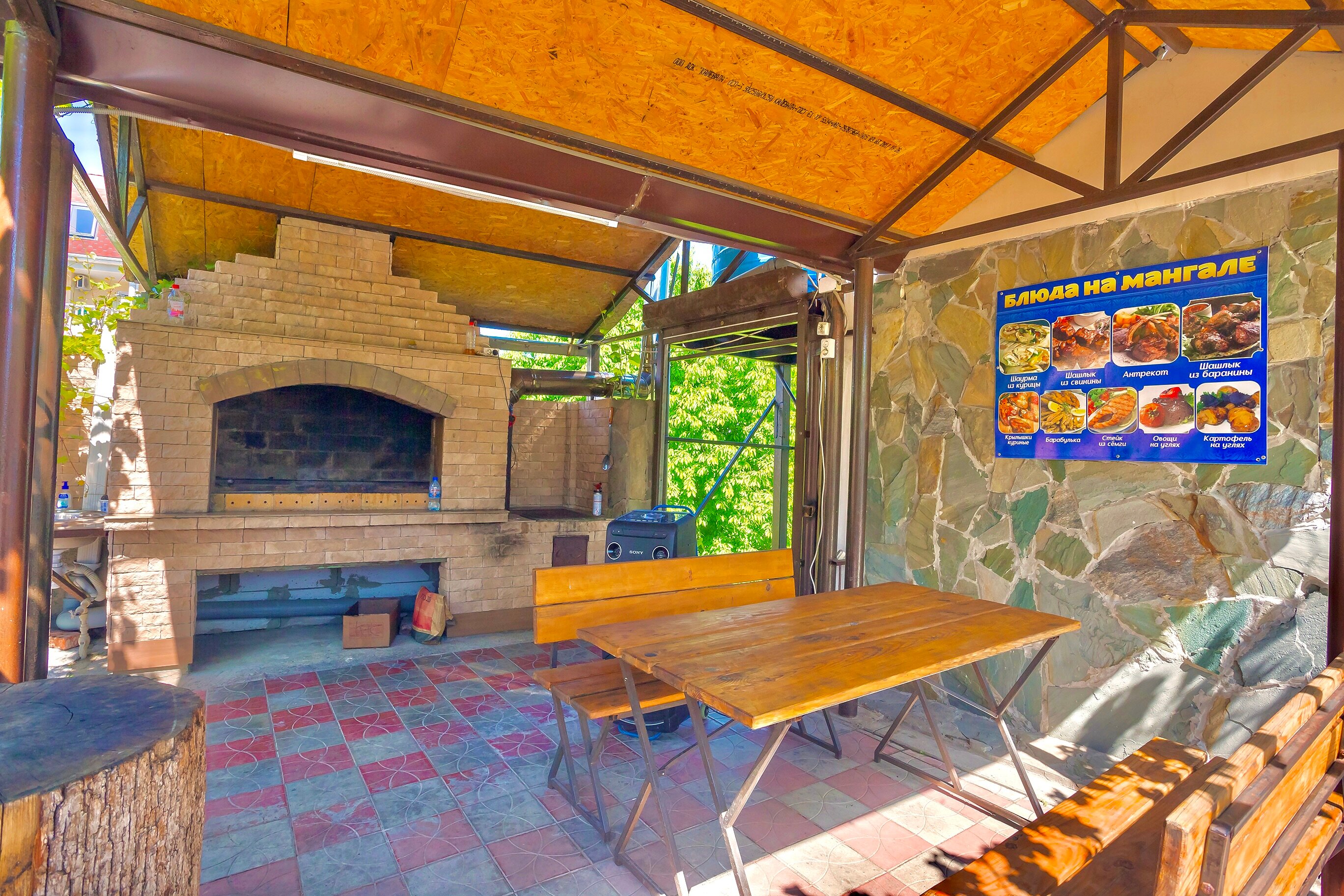 Фото Дельфин