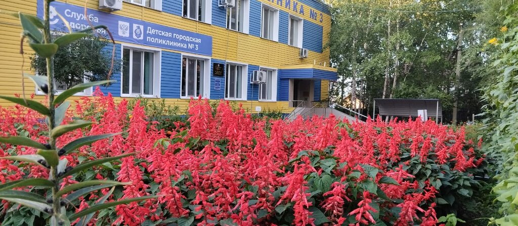 عيادة أطفال Detskaya gorodskaya klinicheskaya poliklinika № 3 ، خاباروفسك، صورة