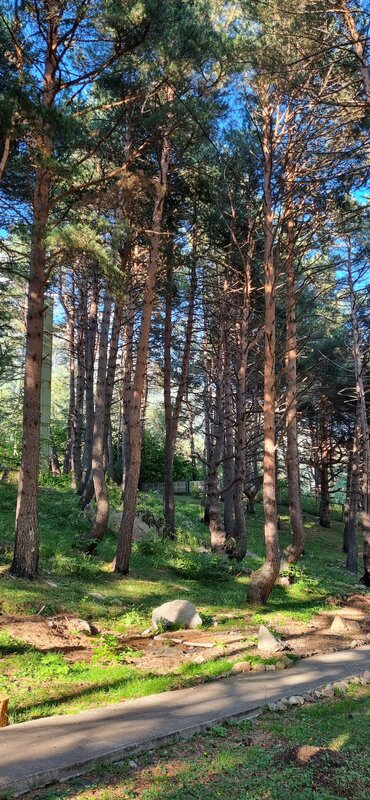 Панорама Дигория — фото 21