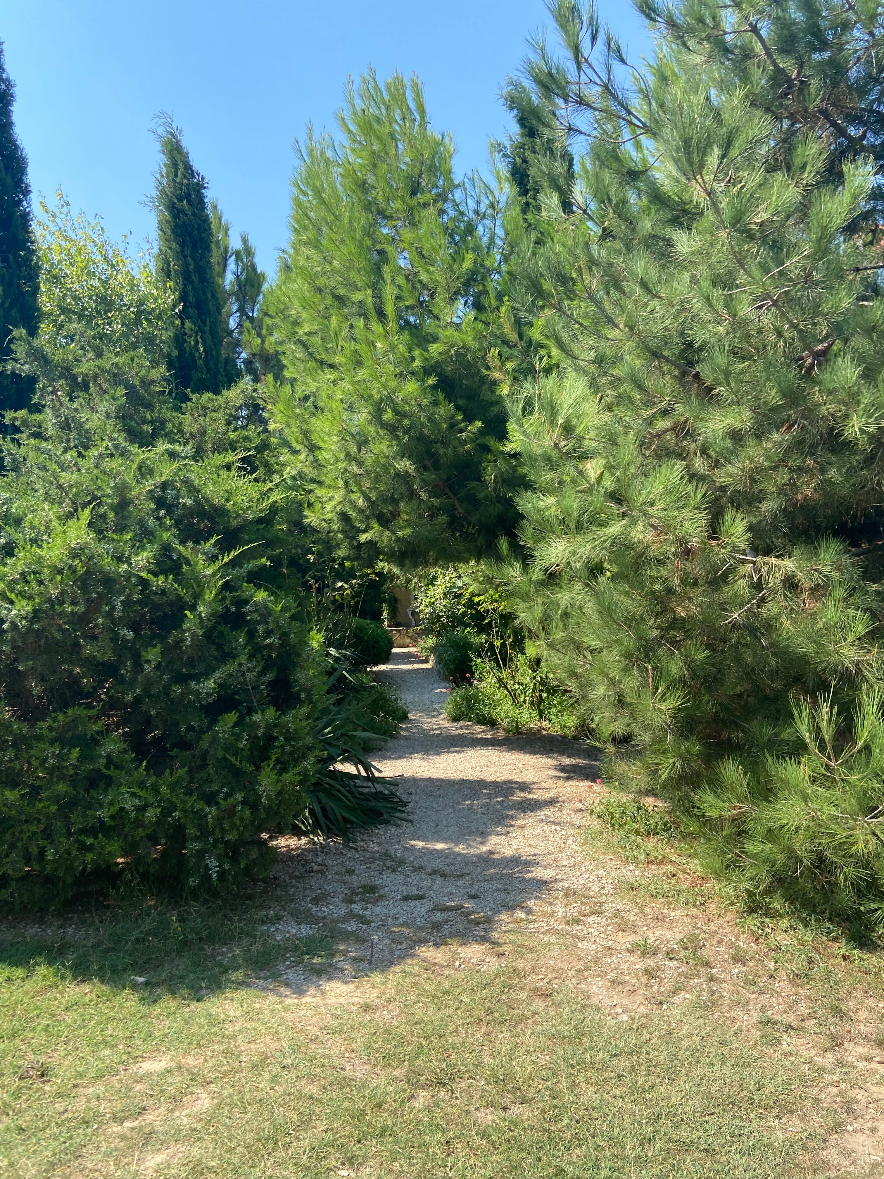 Фото Пансионат Соната