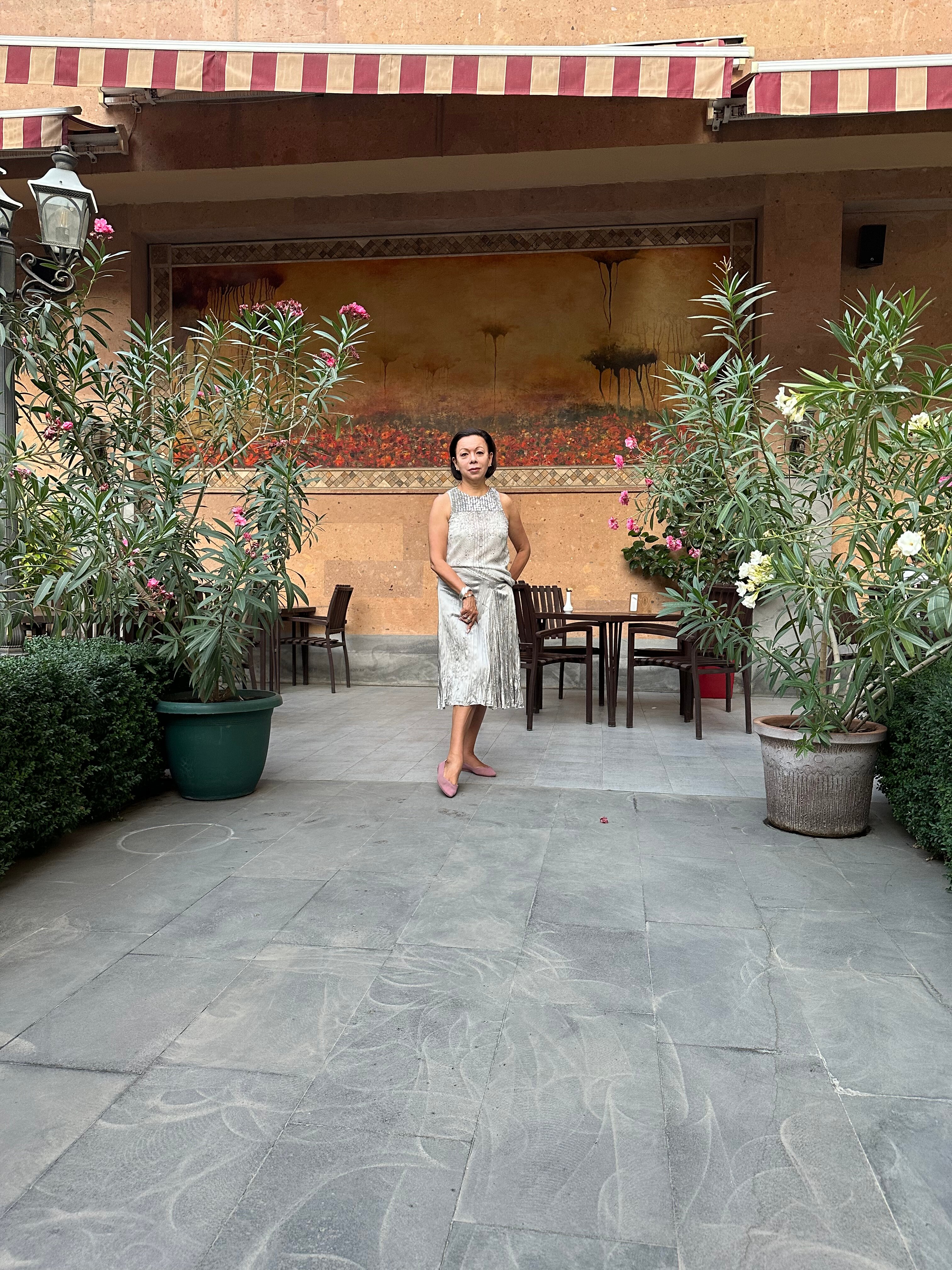 Фото Ani Plaza Hotel