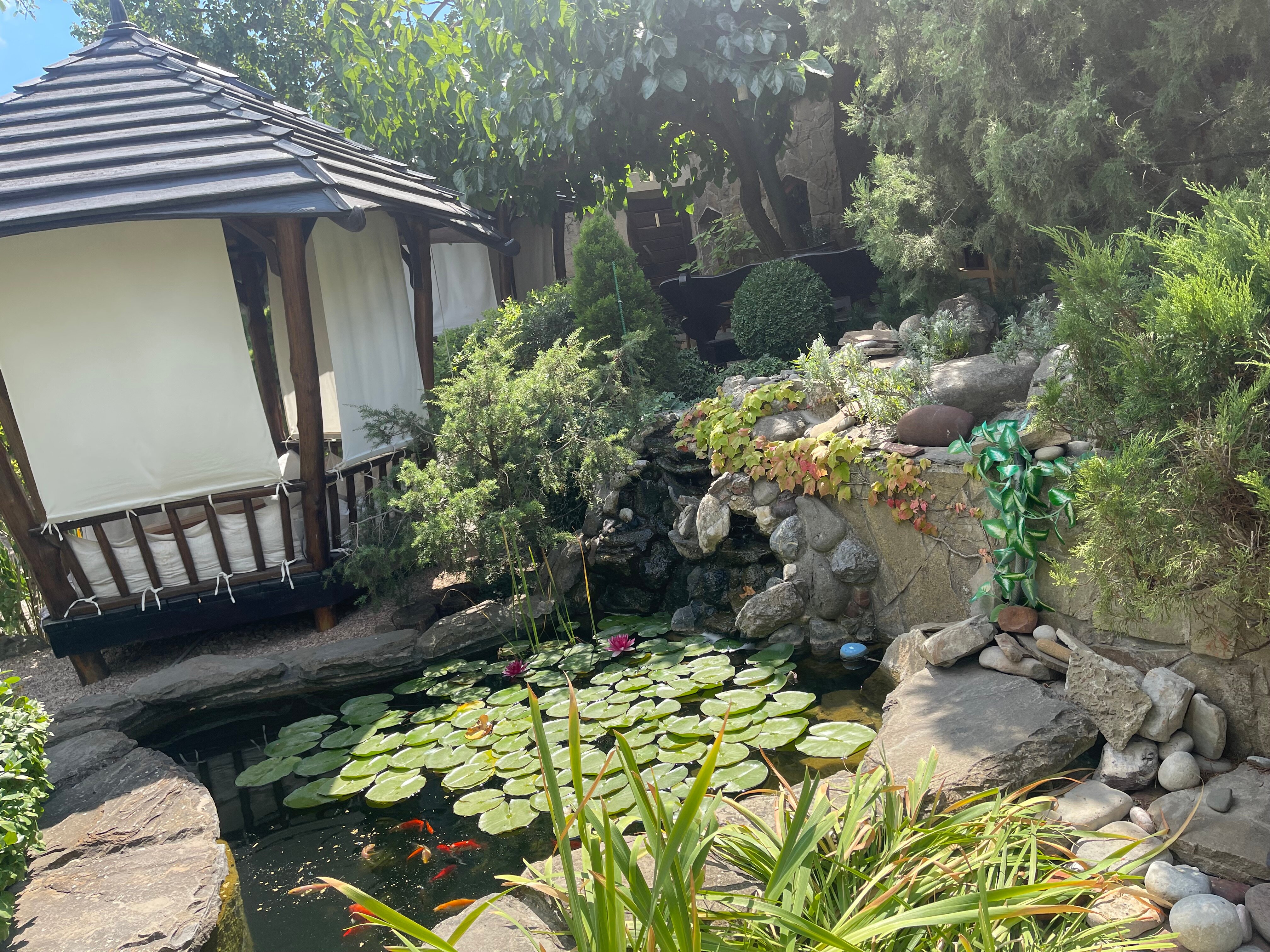 Фото Солнечный замок