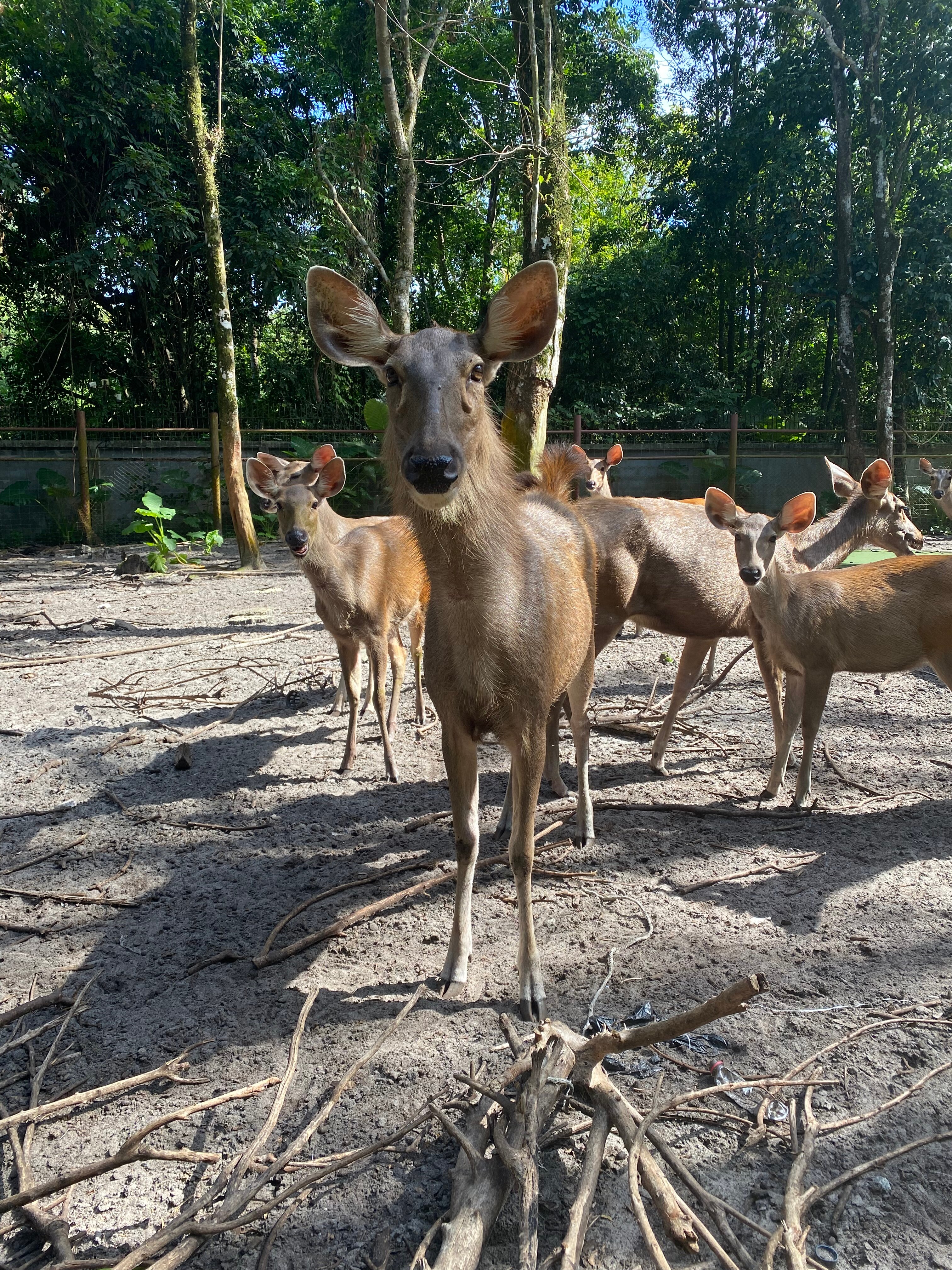 Фото Naiyang Park Resort