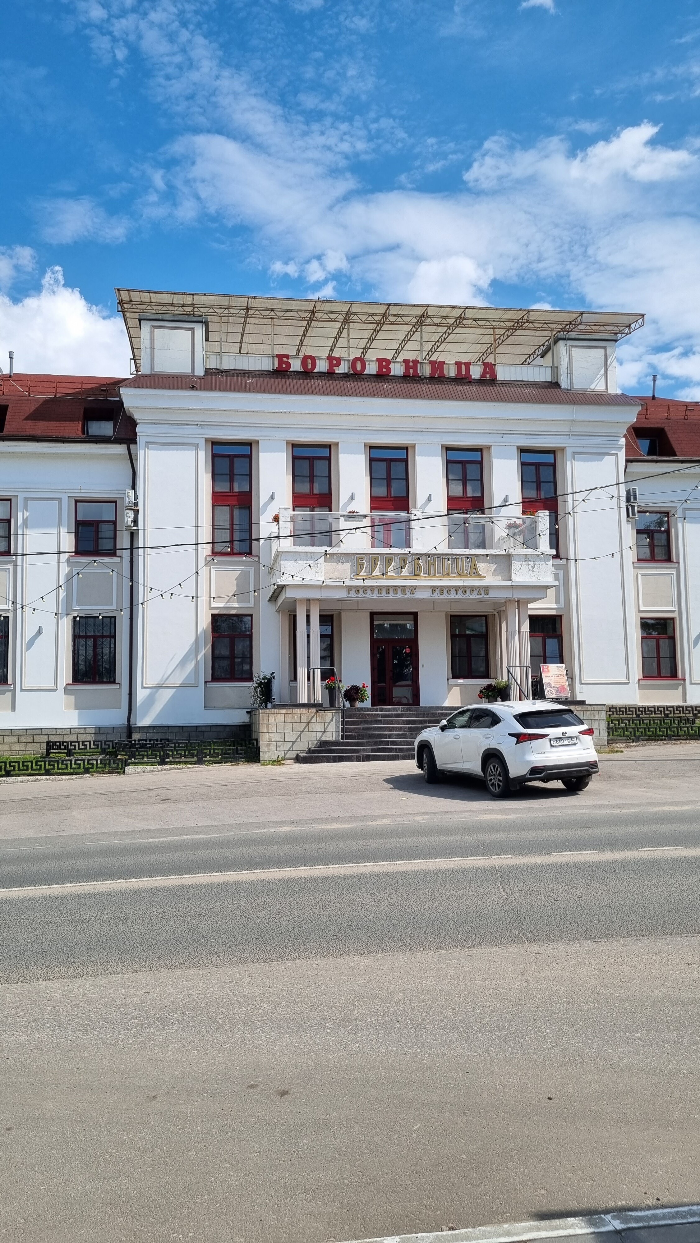 Фото Боровница