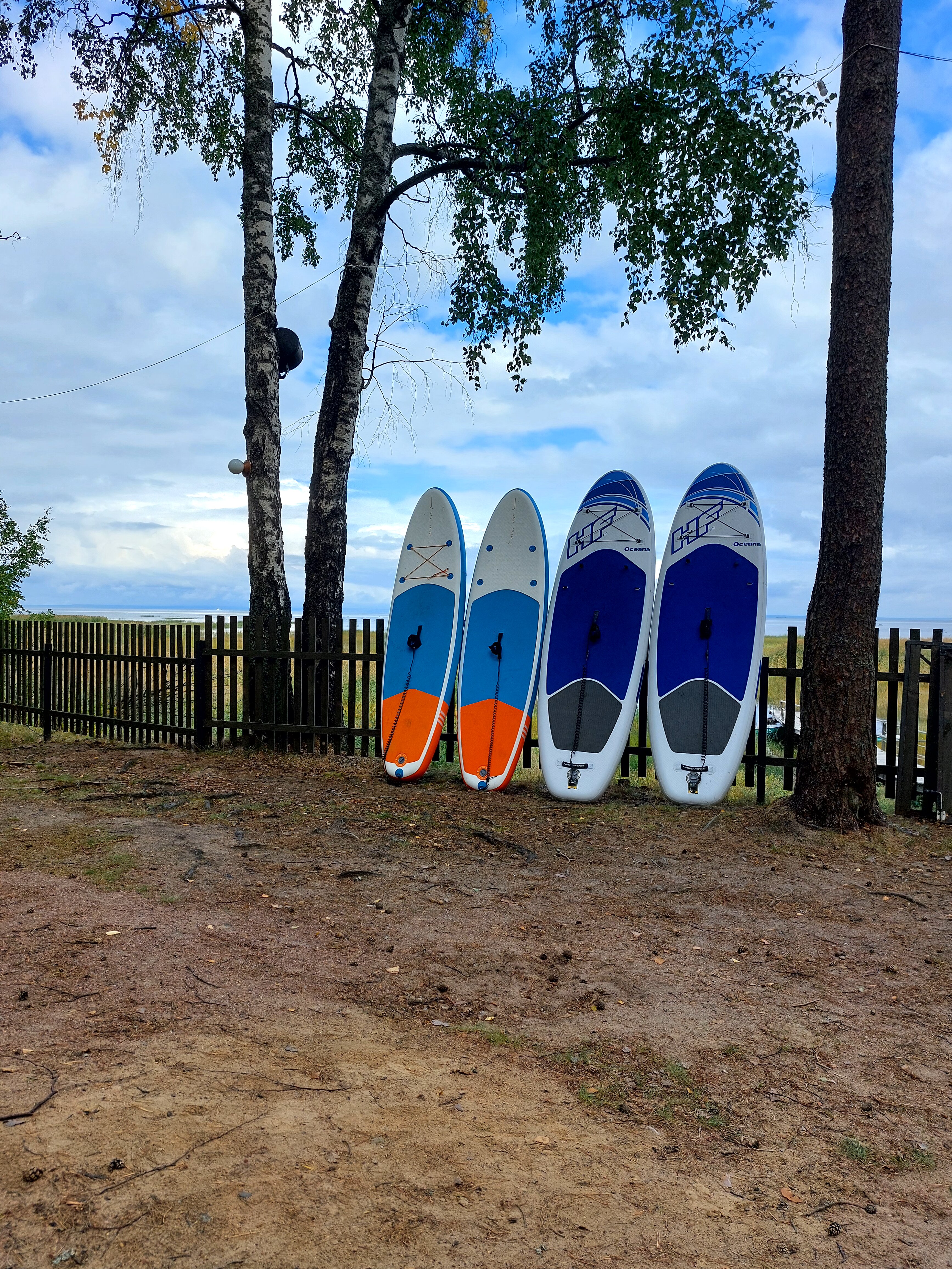 Фото Янтарный Берег