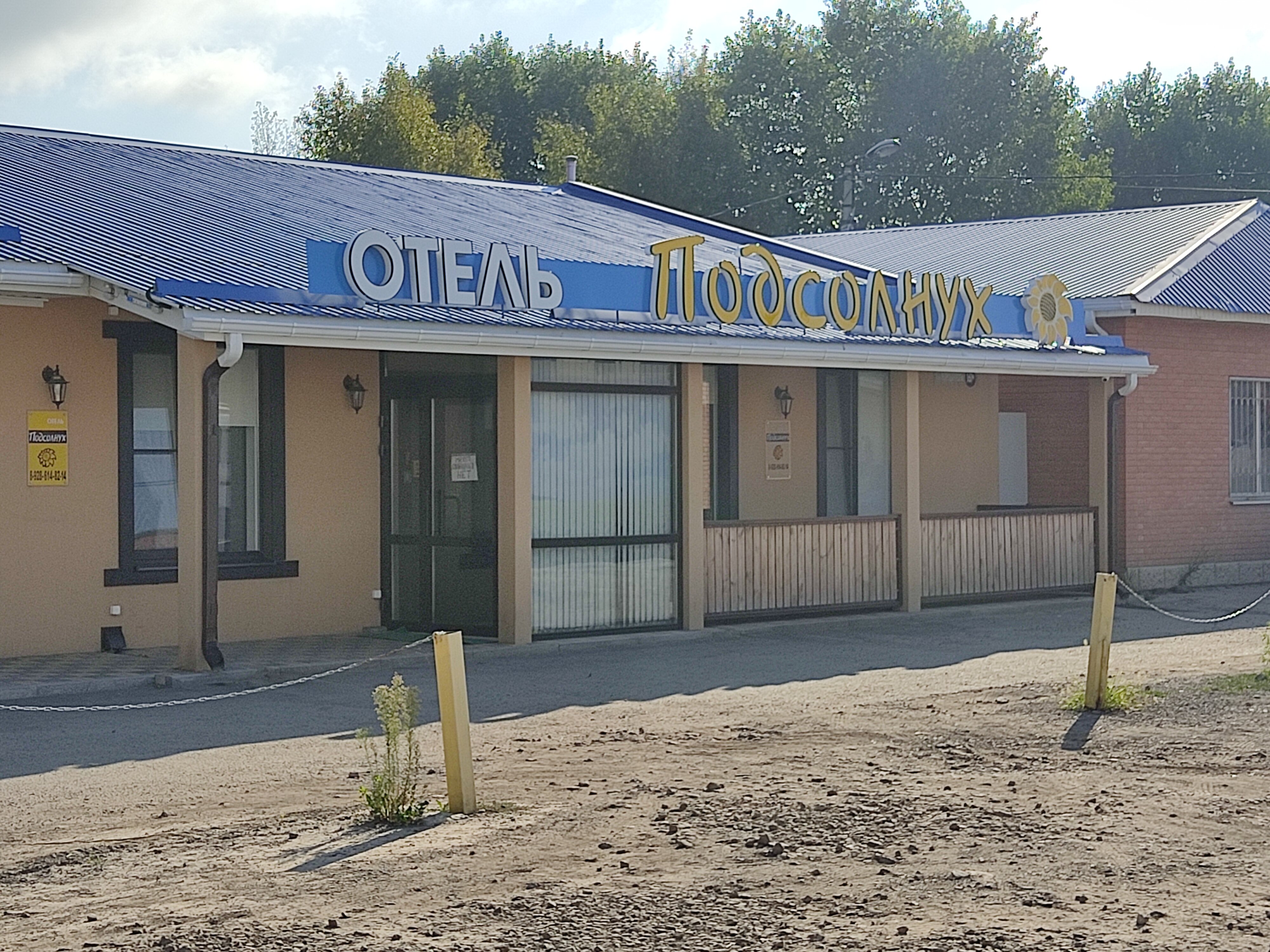 Фото Подсолнух