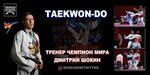 Taekwondo team Shokin (Yashnobod District, Yangibozor street, 11/3), sports club