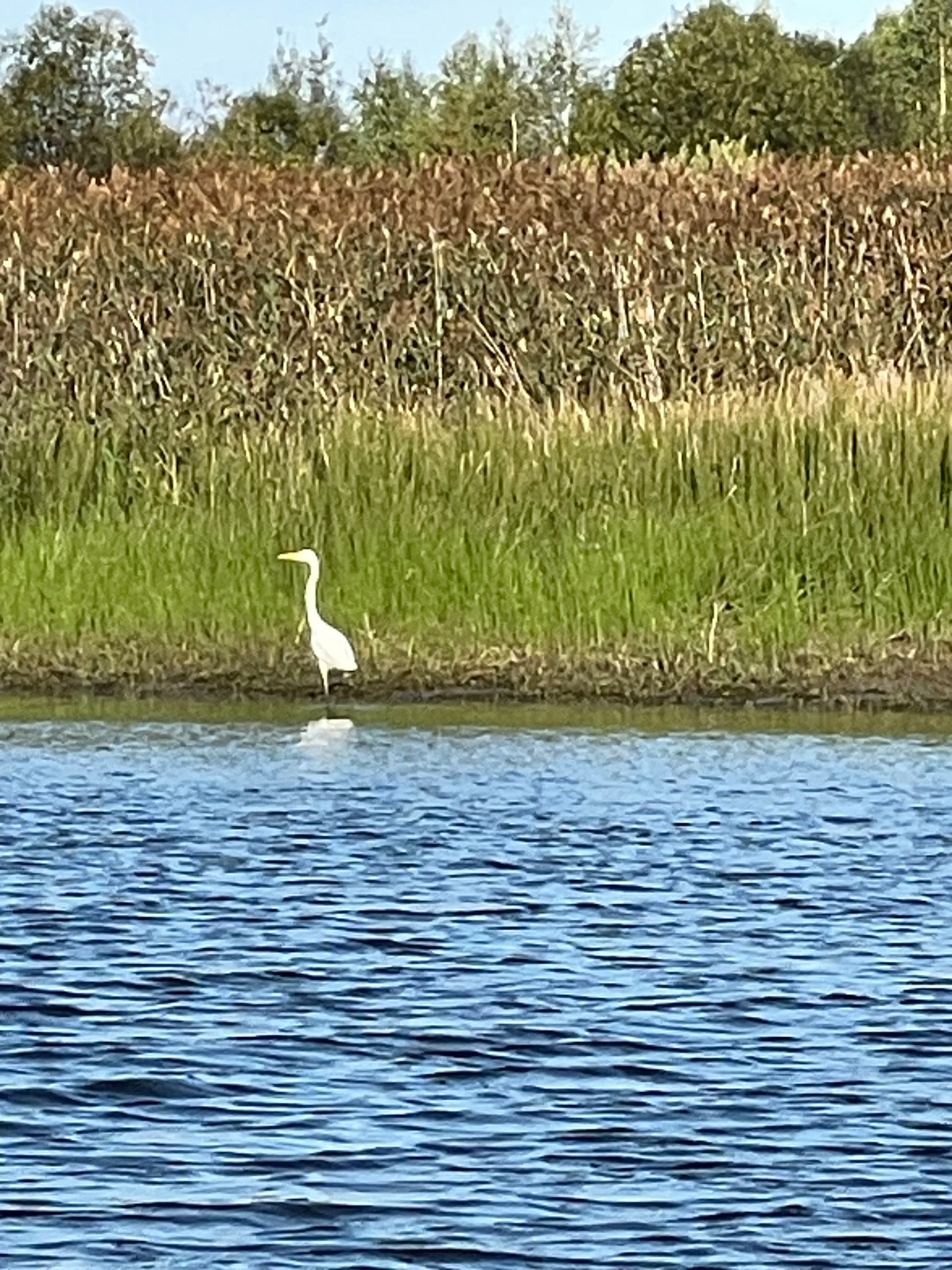 Фото Гагарин Лов
