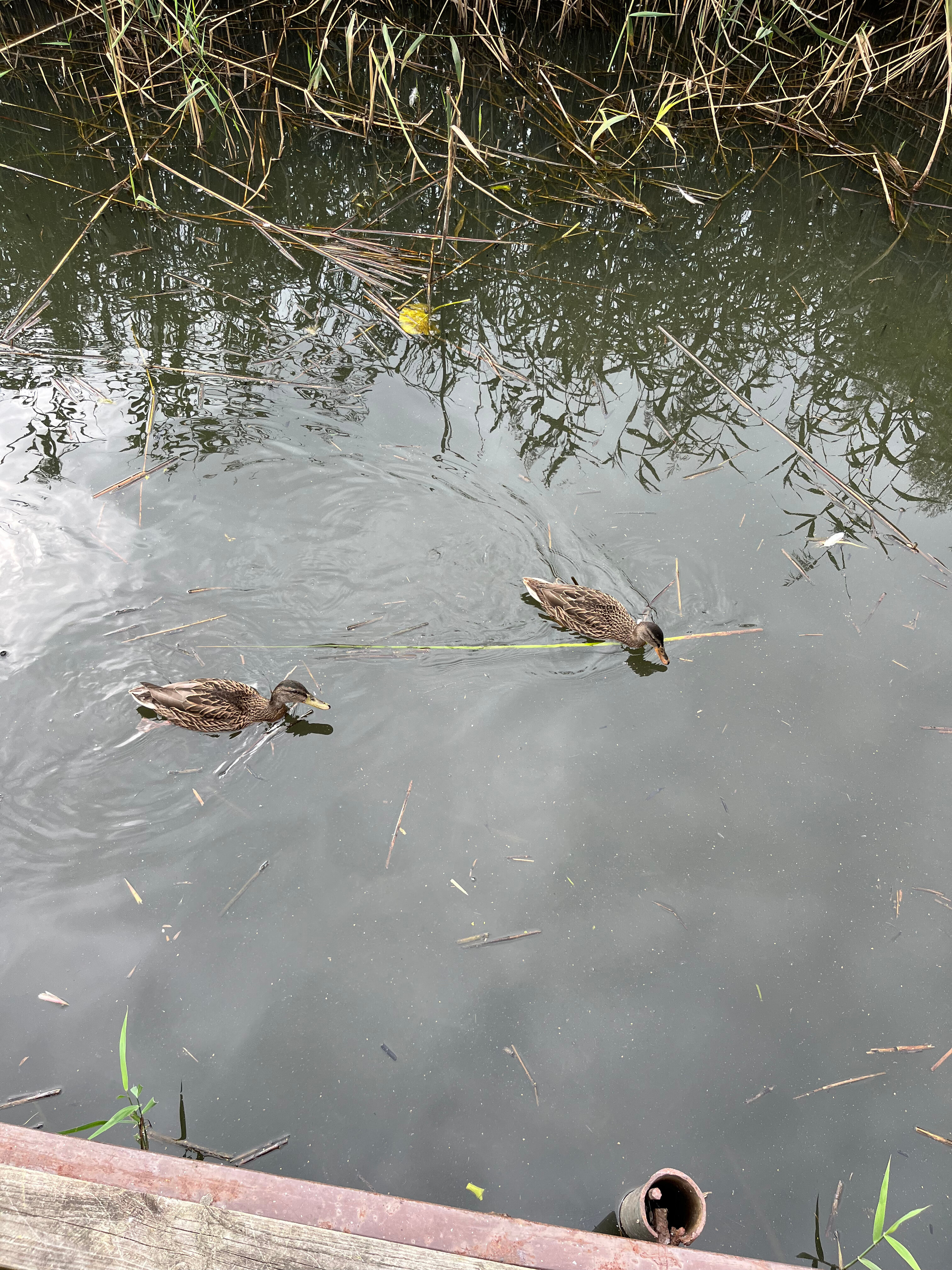 Фото Дом рыболова