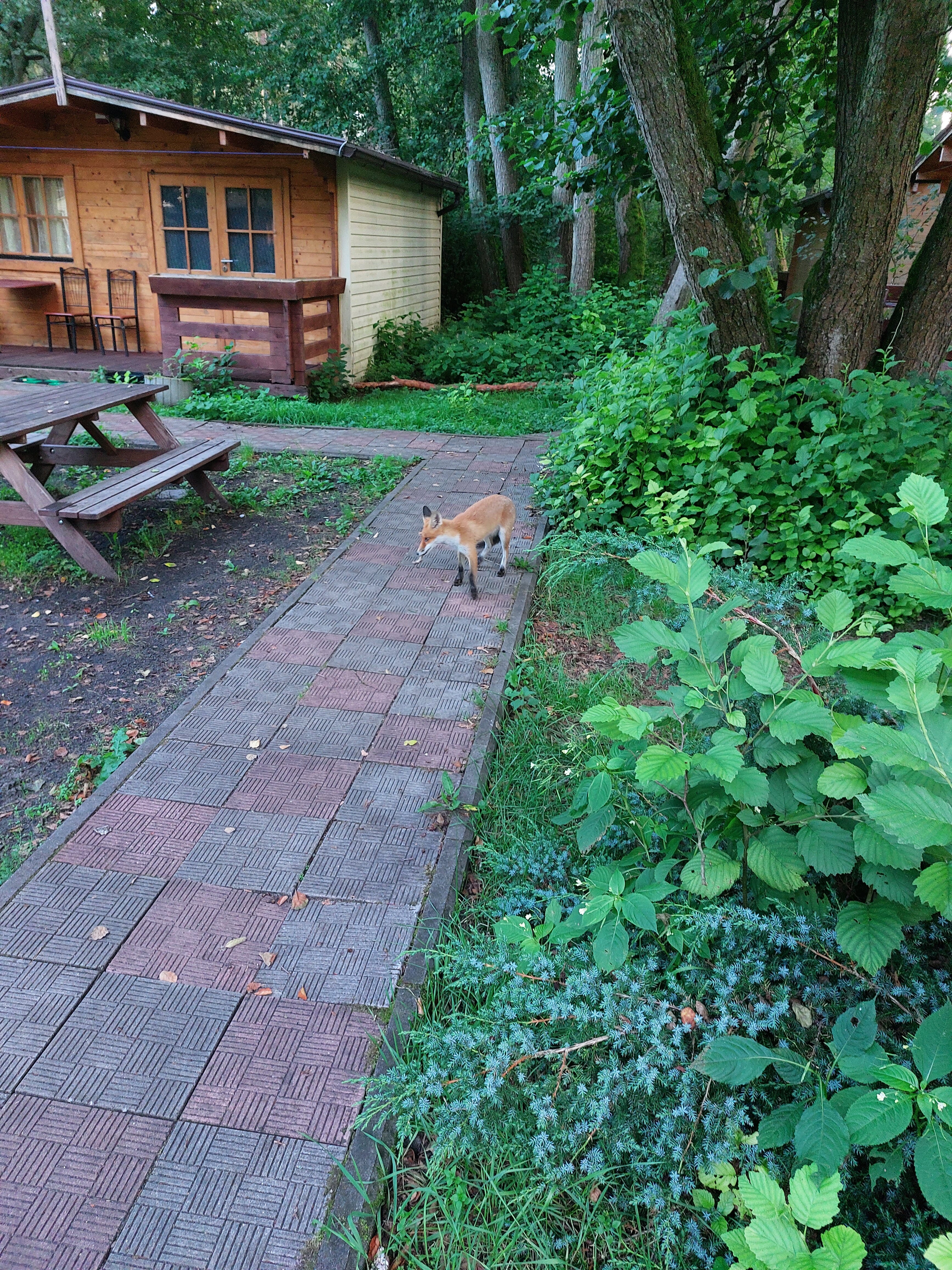 Фото ВитТех