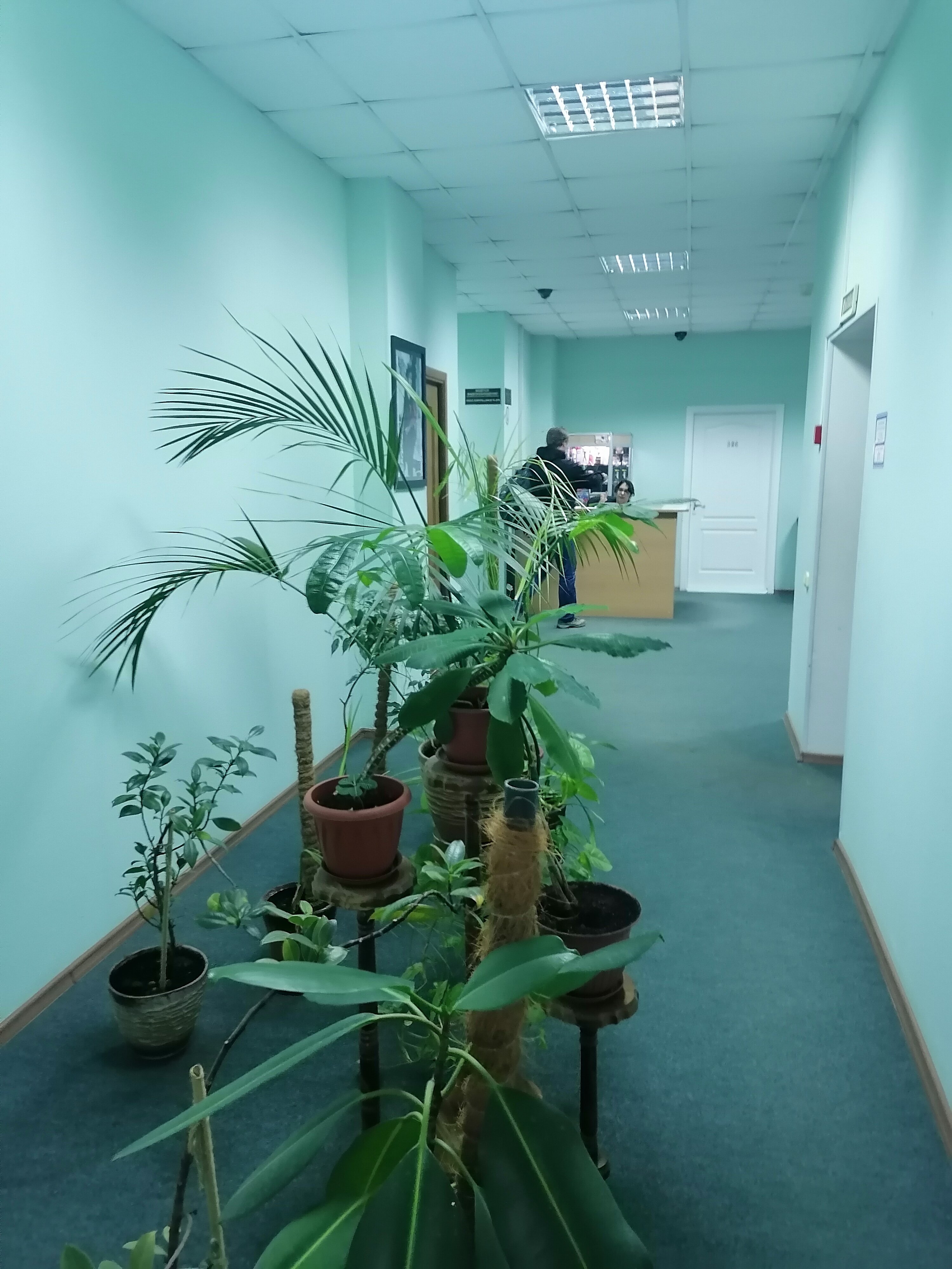 Фото Баринова роща