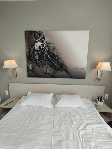 Гостиница Сова в Нижнем Новгороде