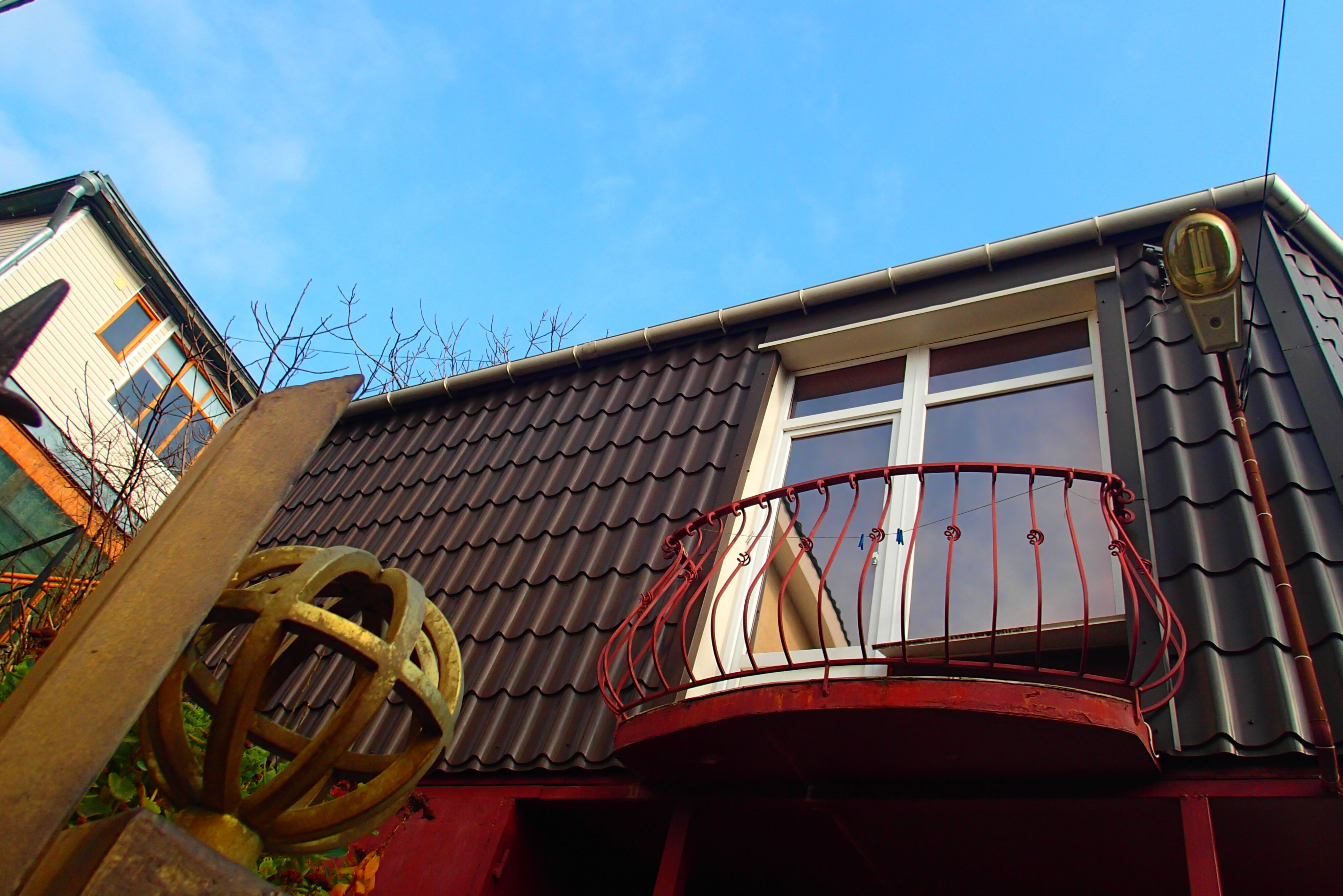 Фото Алупка Роза