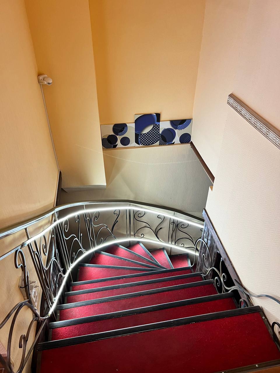 Фото Викинг