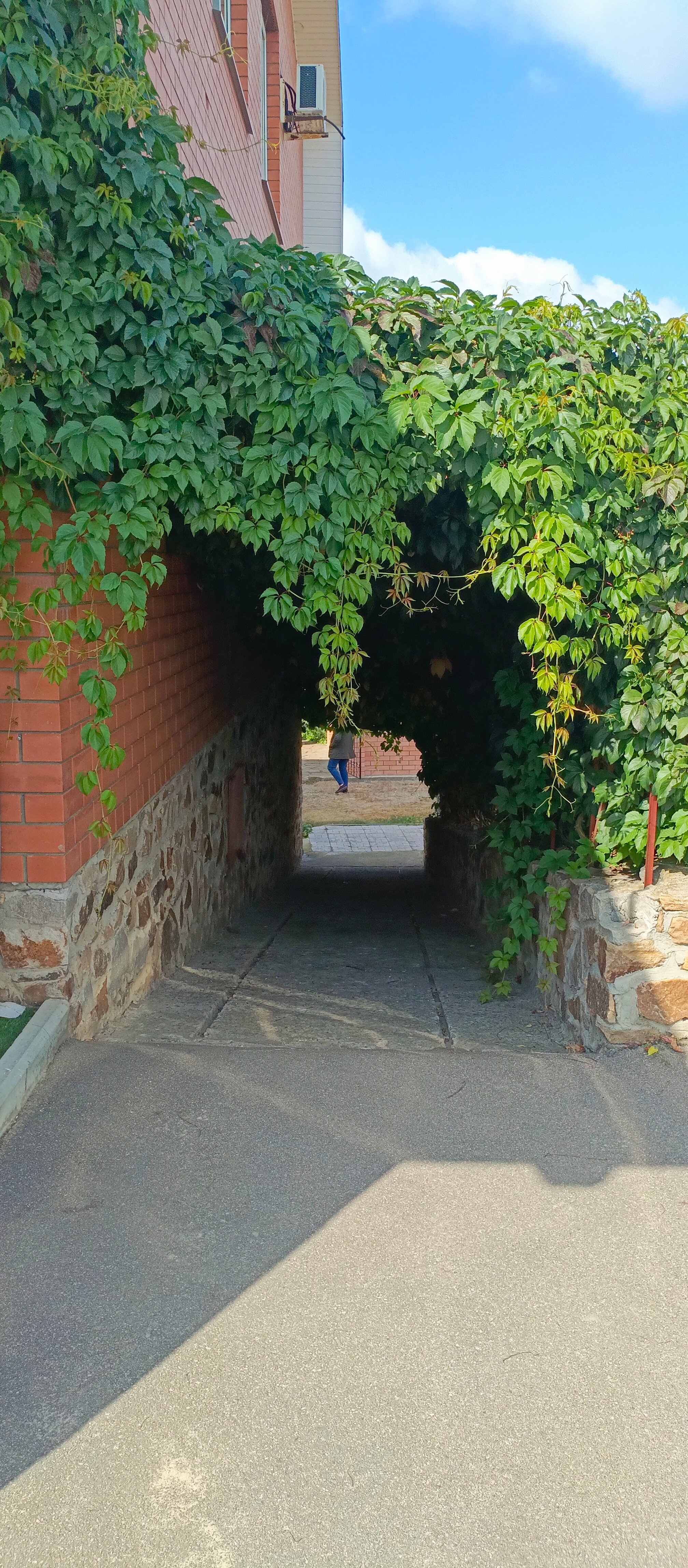 Фото Солнечная