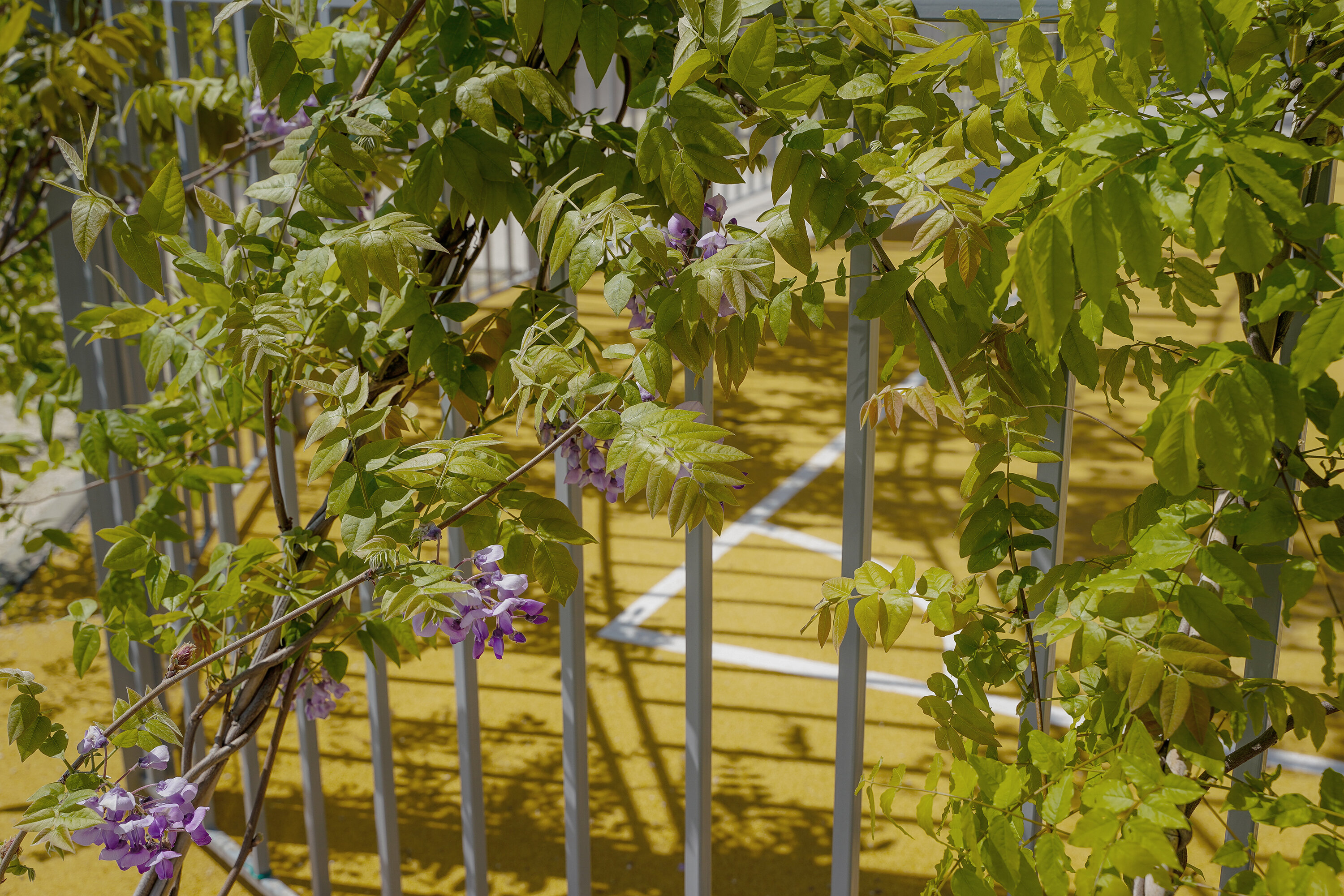 Фото Frukty rent