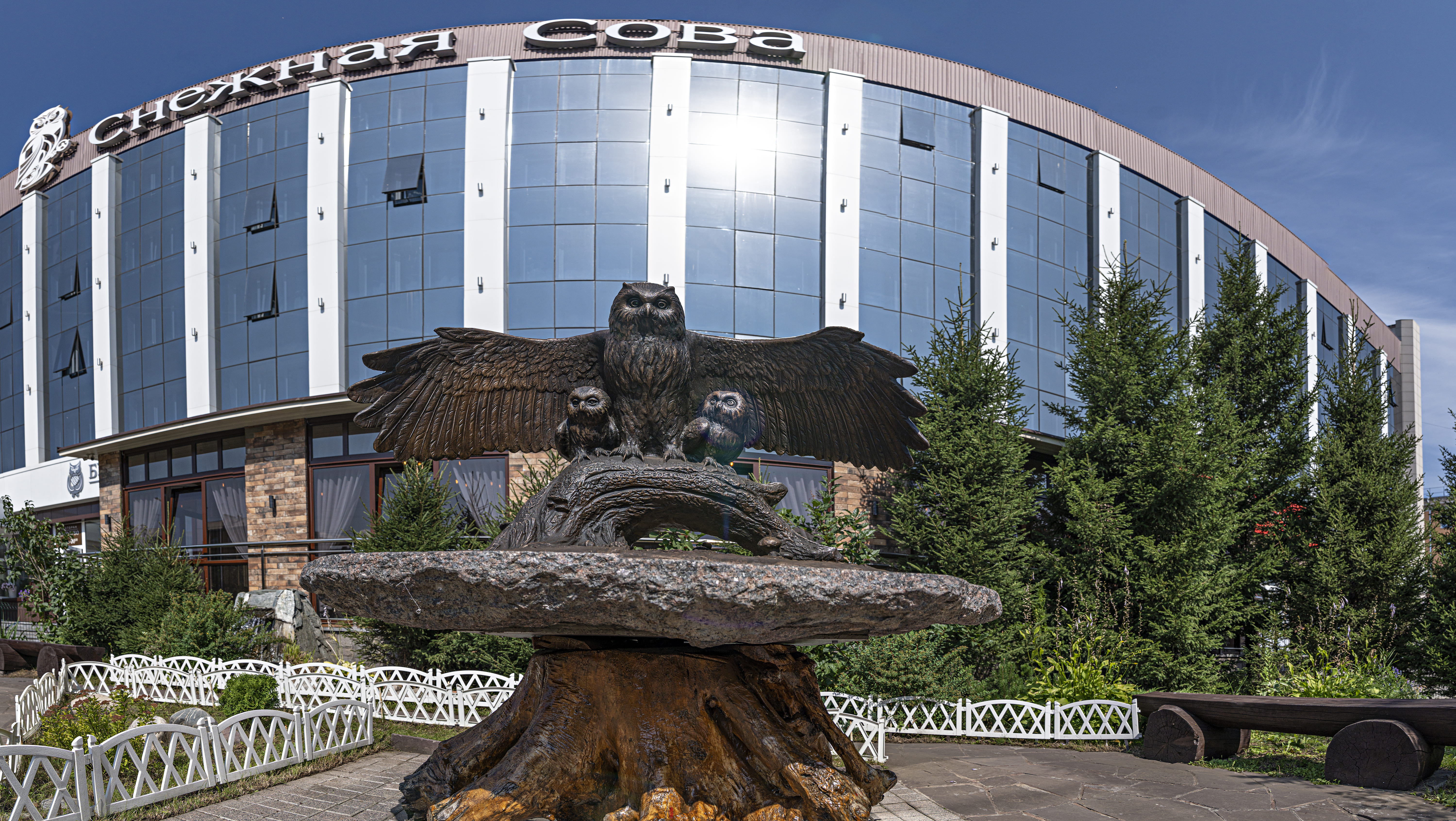 Фото Снежная сова