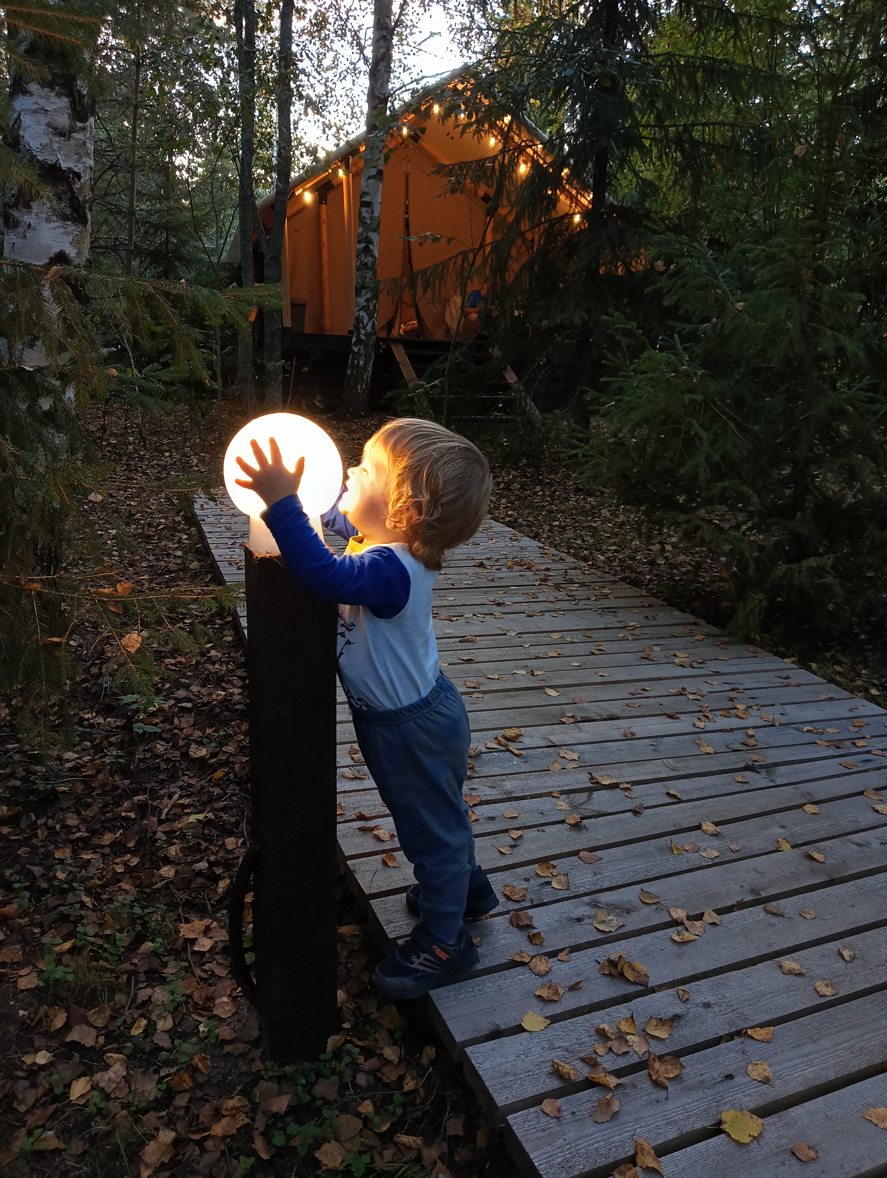 Фото Глэмпинг Видомлицы
