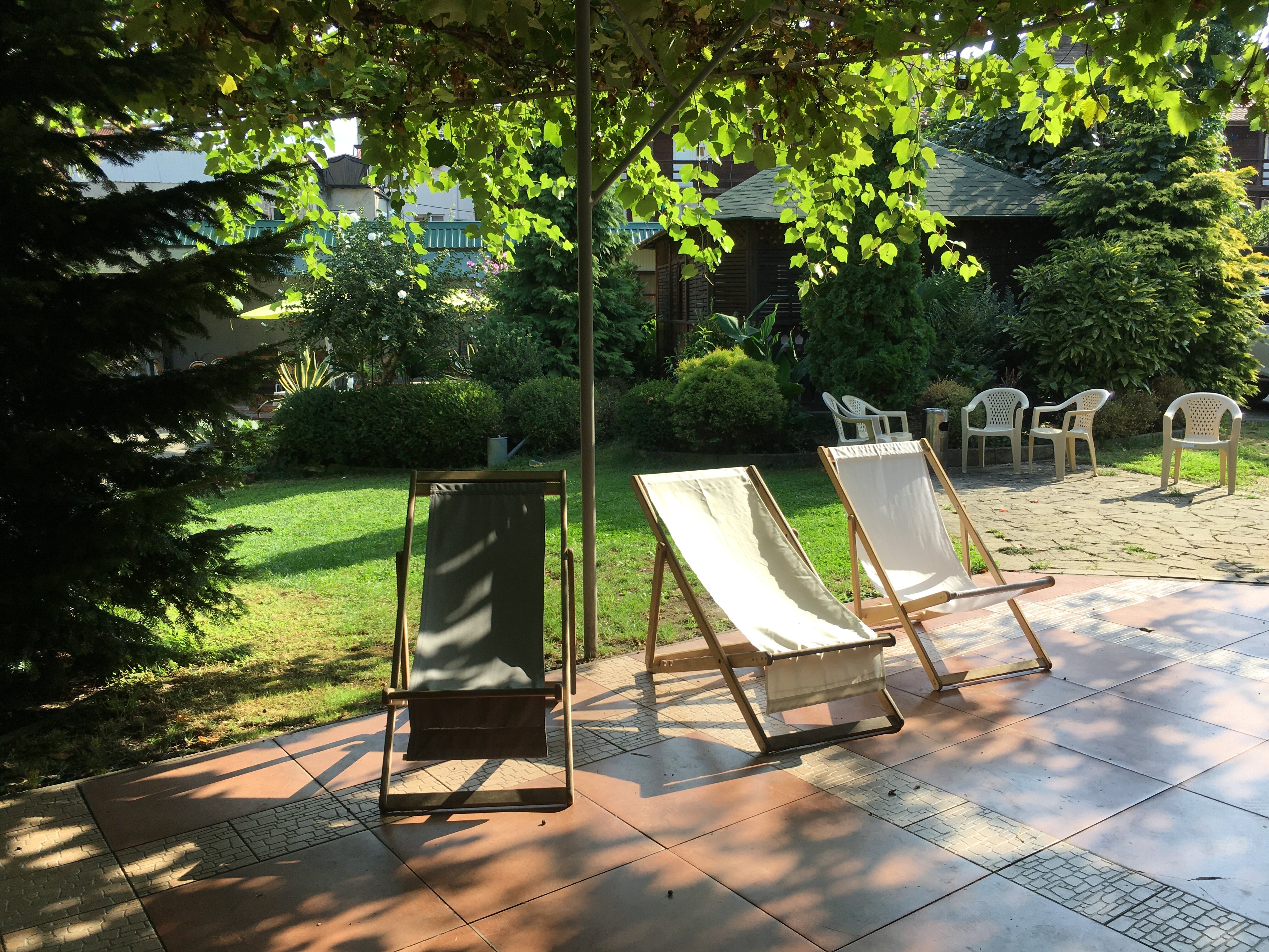 Фото Солоники