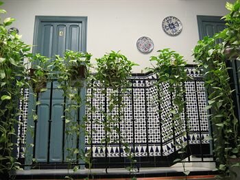 Фото Pension Montorena