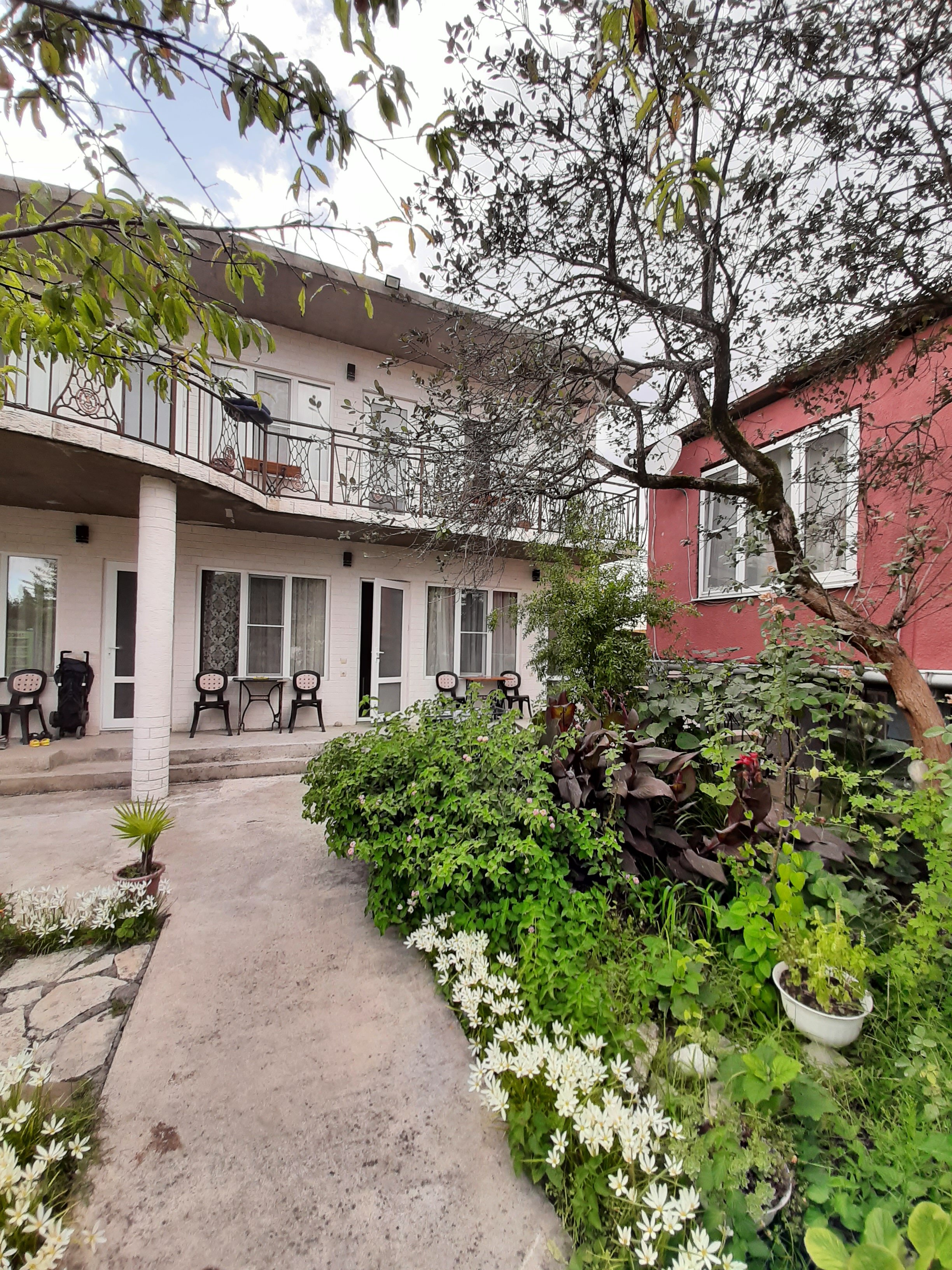 Фото Сингер