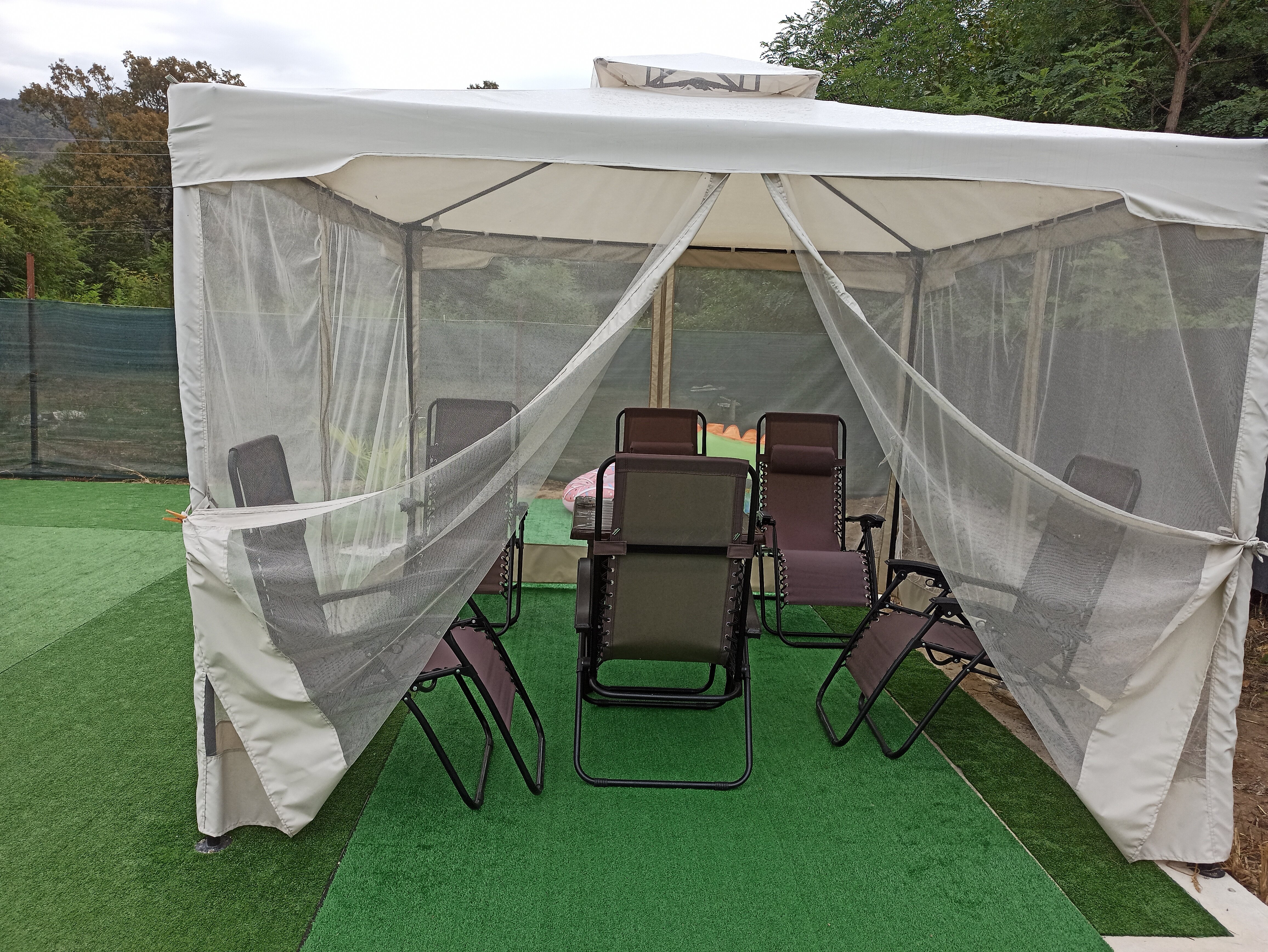 Фото Лесной островок