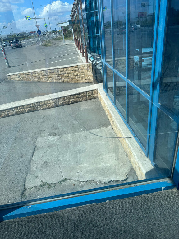 Фото Алекс Холл