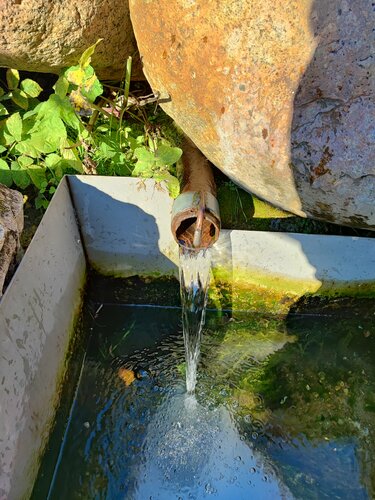 Porno xotini ozini begonaga berdi